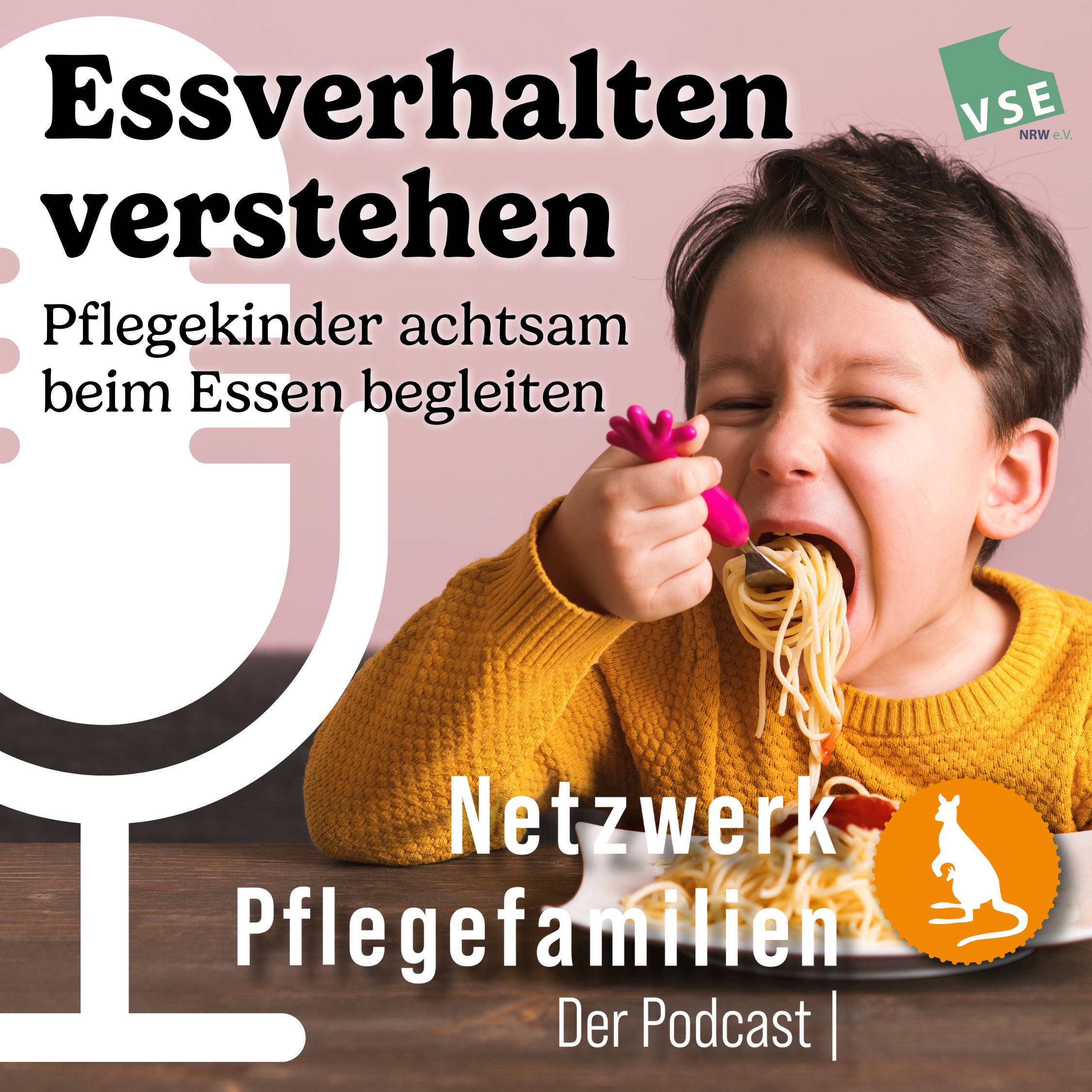 Netzwerk Pflegefamilien - Der Podcast