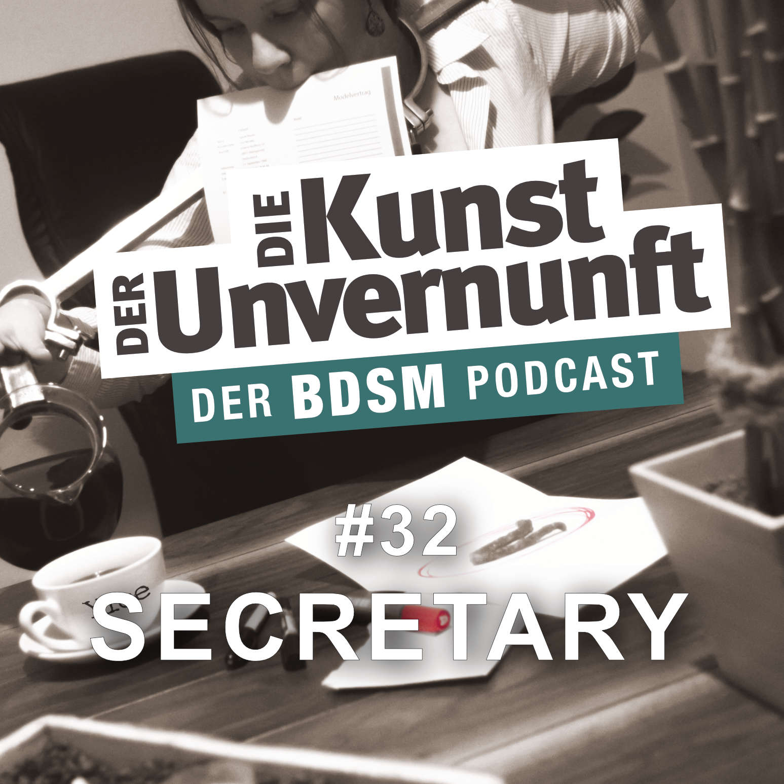 BDSM - Die Kunst der Unvernunft