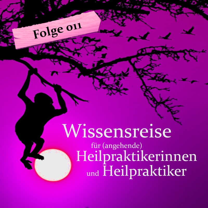 Wissensreise für (angehende) Heilpraktikerinnen und Heilpraktiker