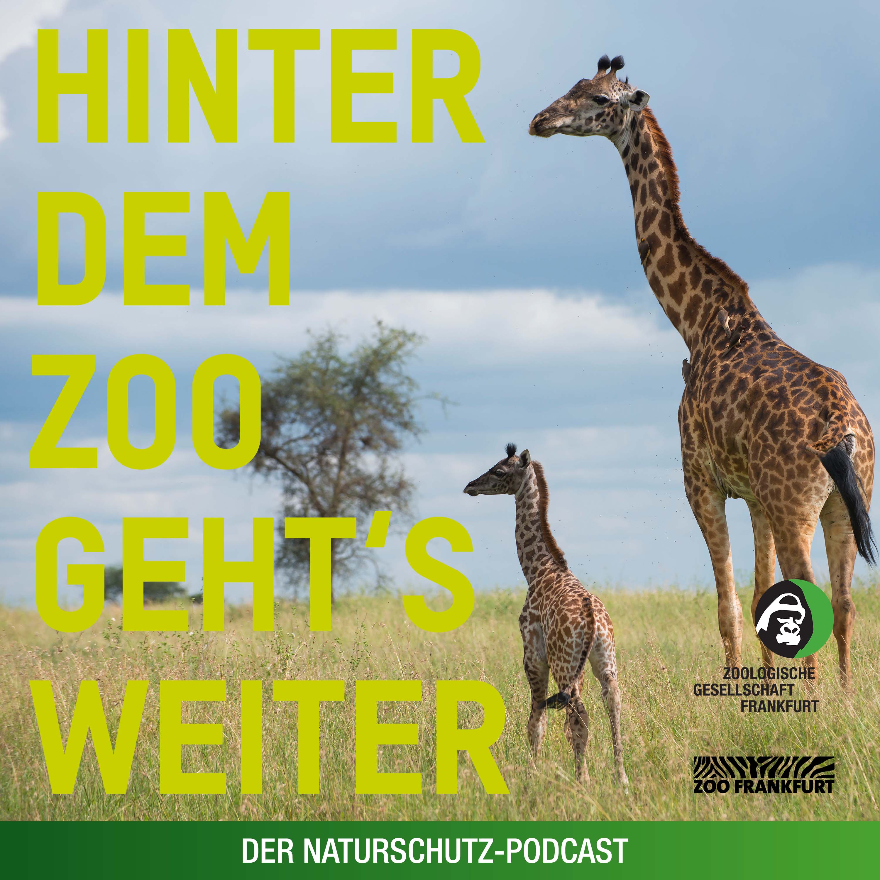 Hinter dem Zoo geht\'s weiter - Der Naturschutzpodcast aus Frankfurt