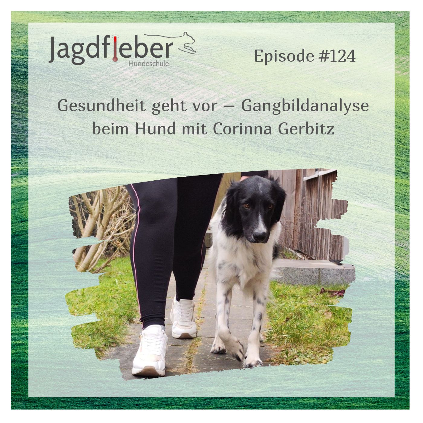 P124: Gesundheit geht vor – Gangbildanalyse beim Hund mit Corinna Gerbitz