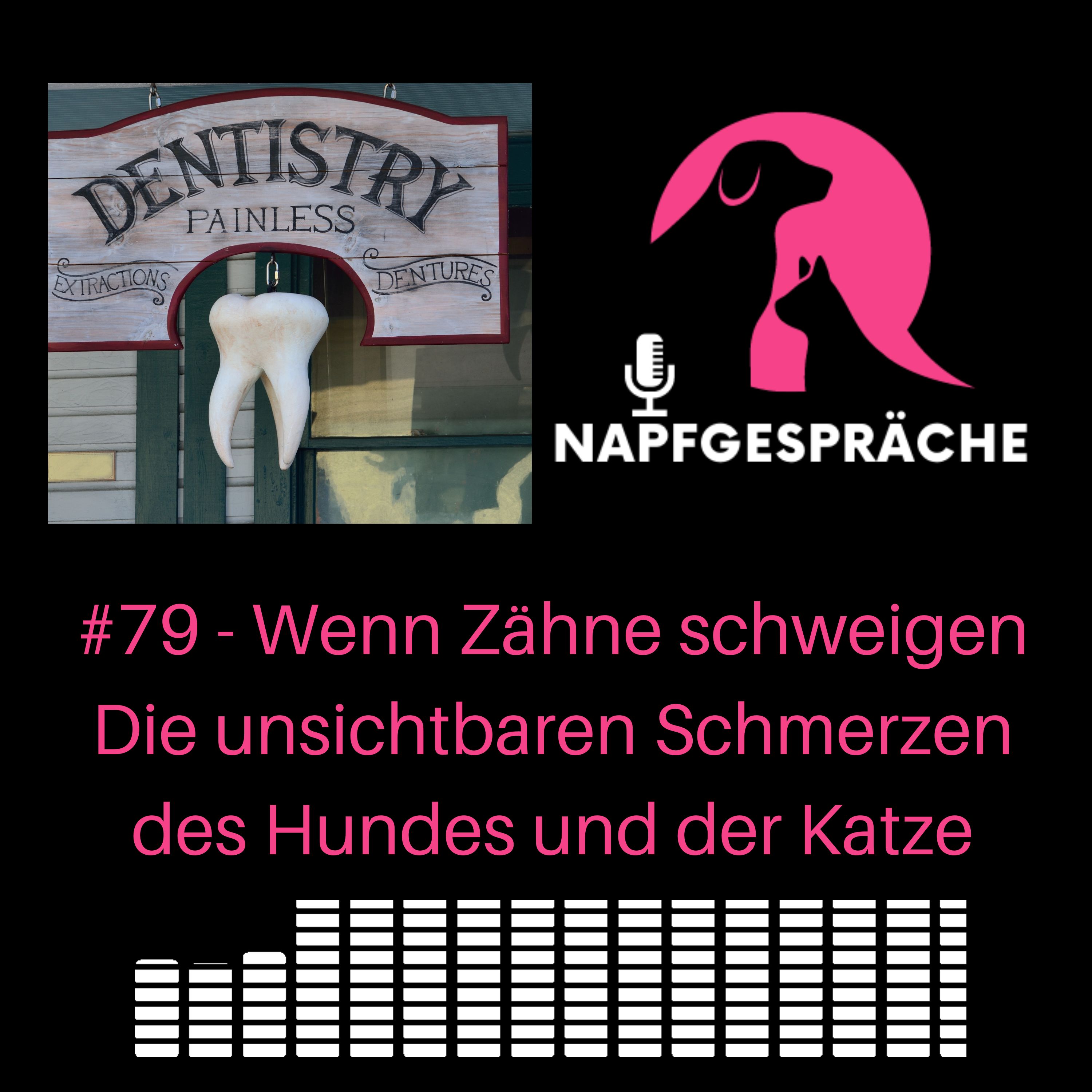 Napfgespräche - Experten für Hunde- & Katzenernährung und smarte Supplemente