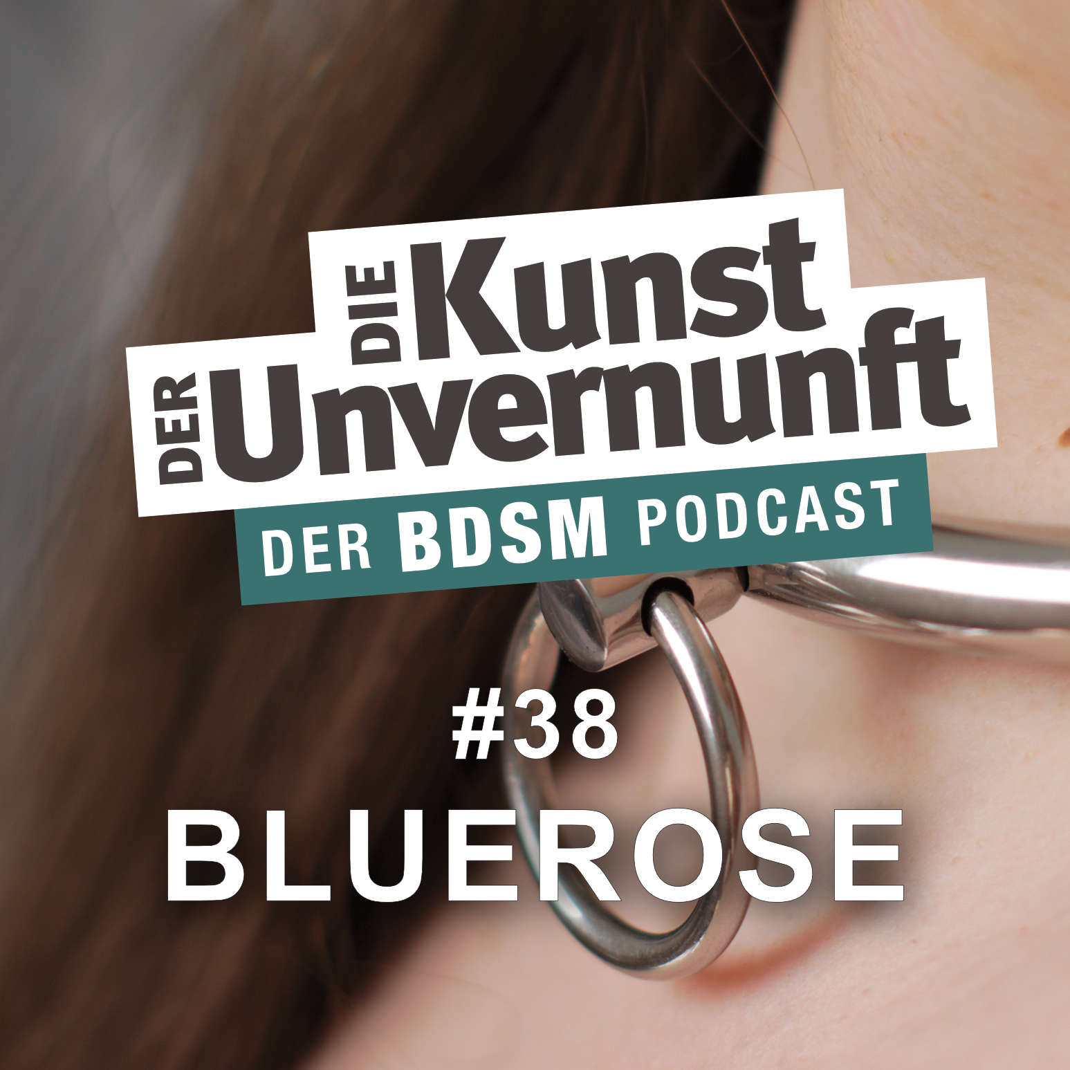 BDSM - Die Kunst der Unvernunft