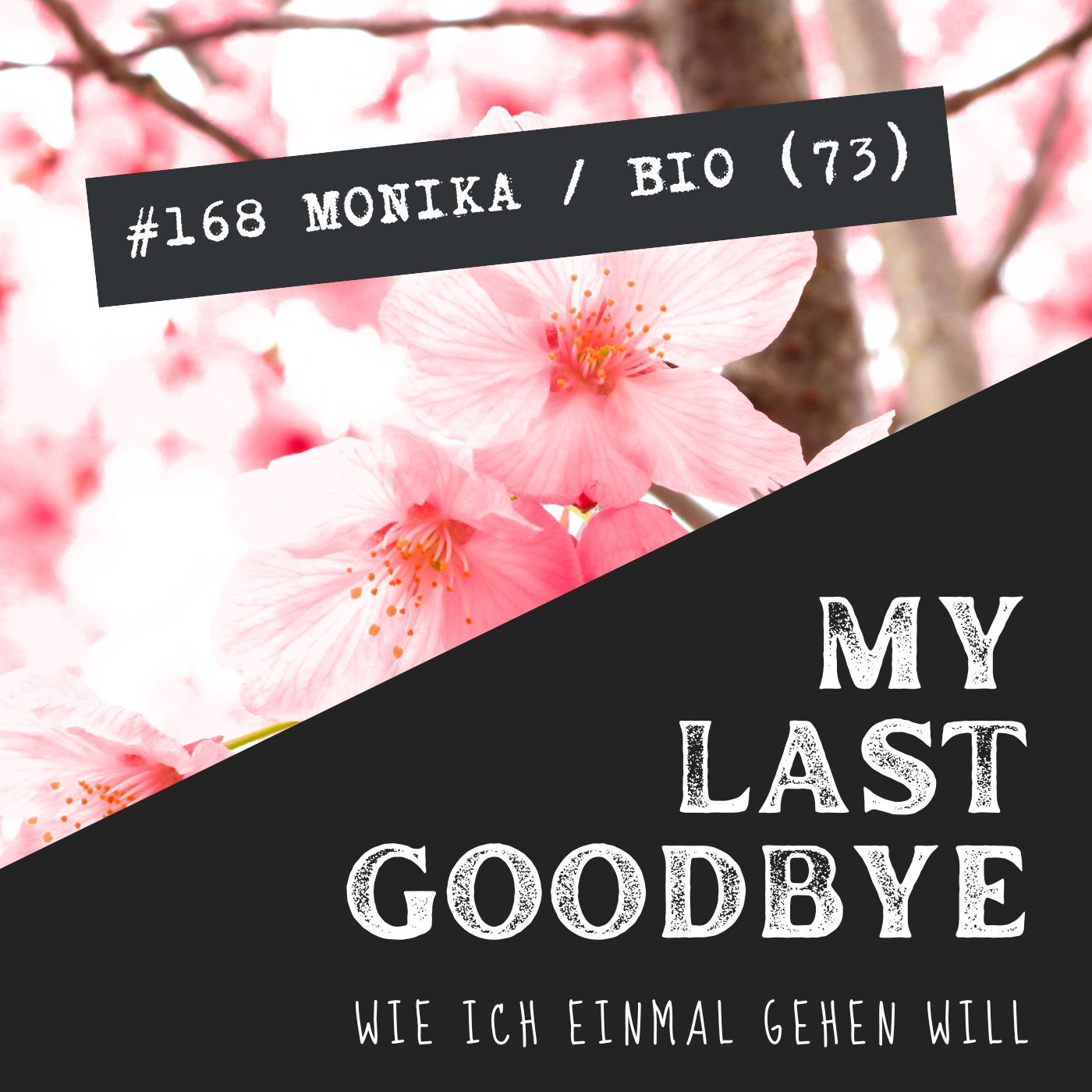 MY LAST GOODBYE