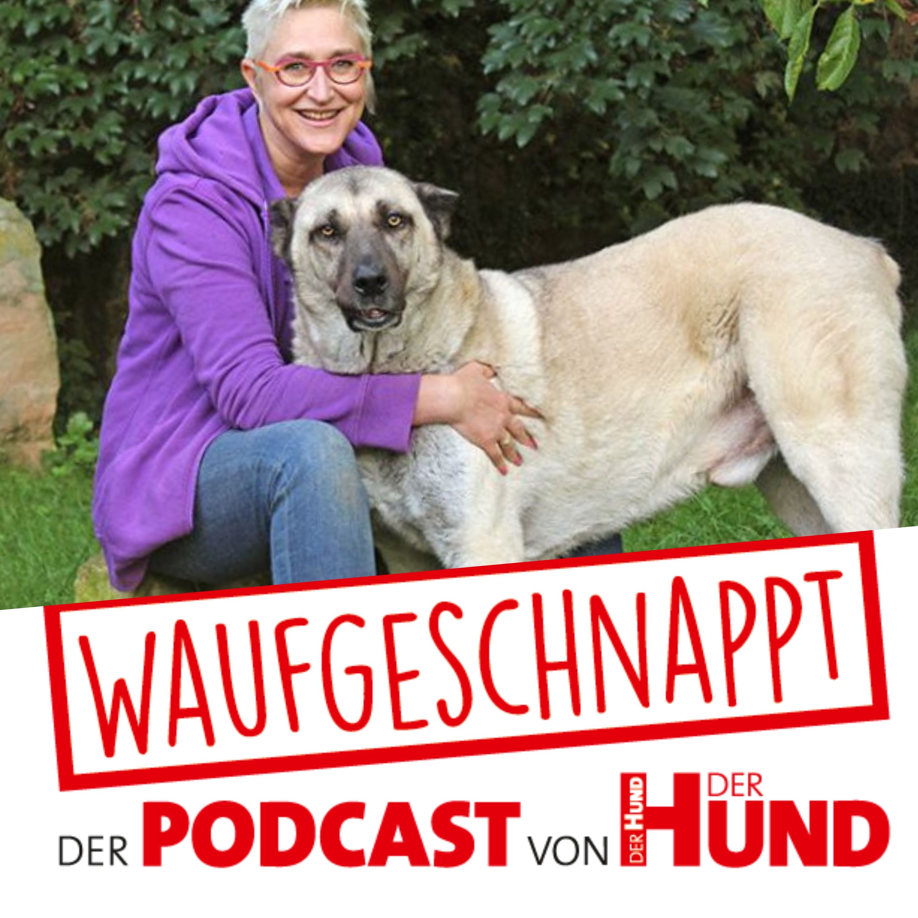 Waufgeschnappt - der Podcast von DER HUND