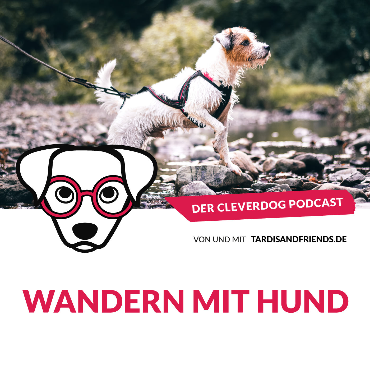 Der Cleverdog Podcast – mehr Wissen rund um den Hund!