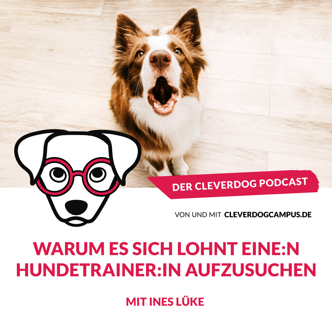 Der Cleverdog Podcast – mehr Wissen rund um den Hund!