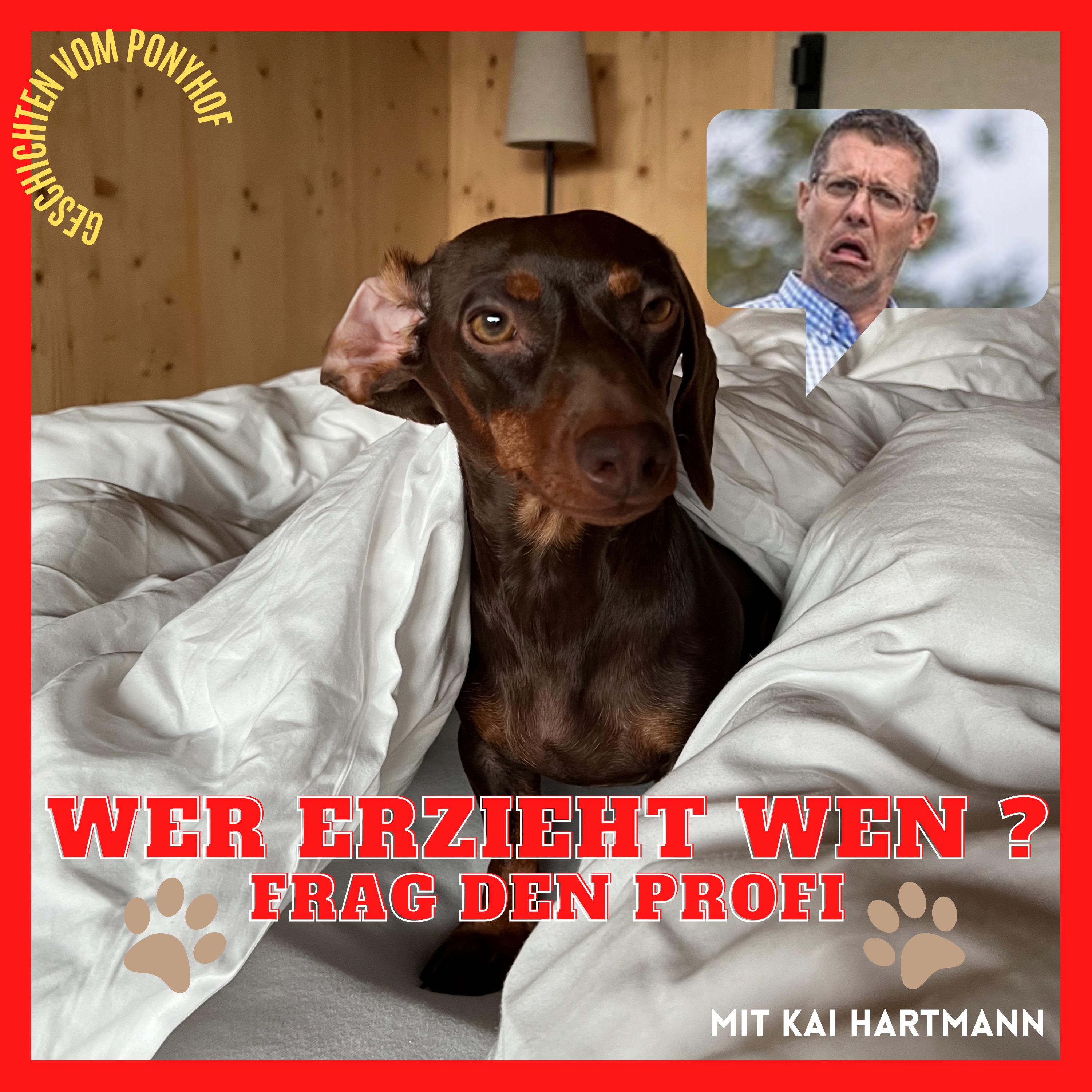 Geschichten vom Ponyhof