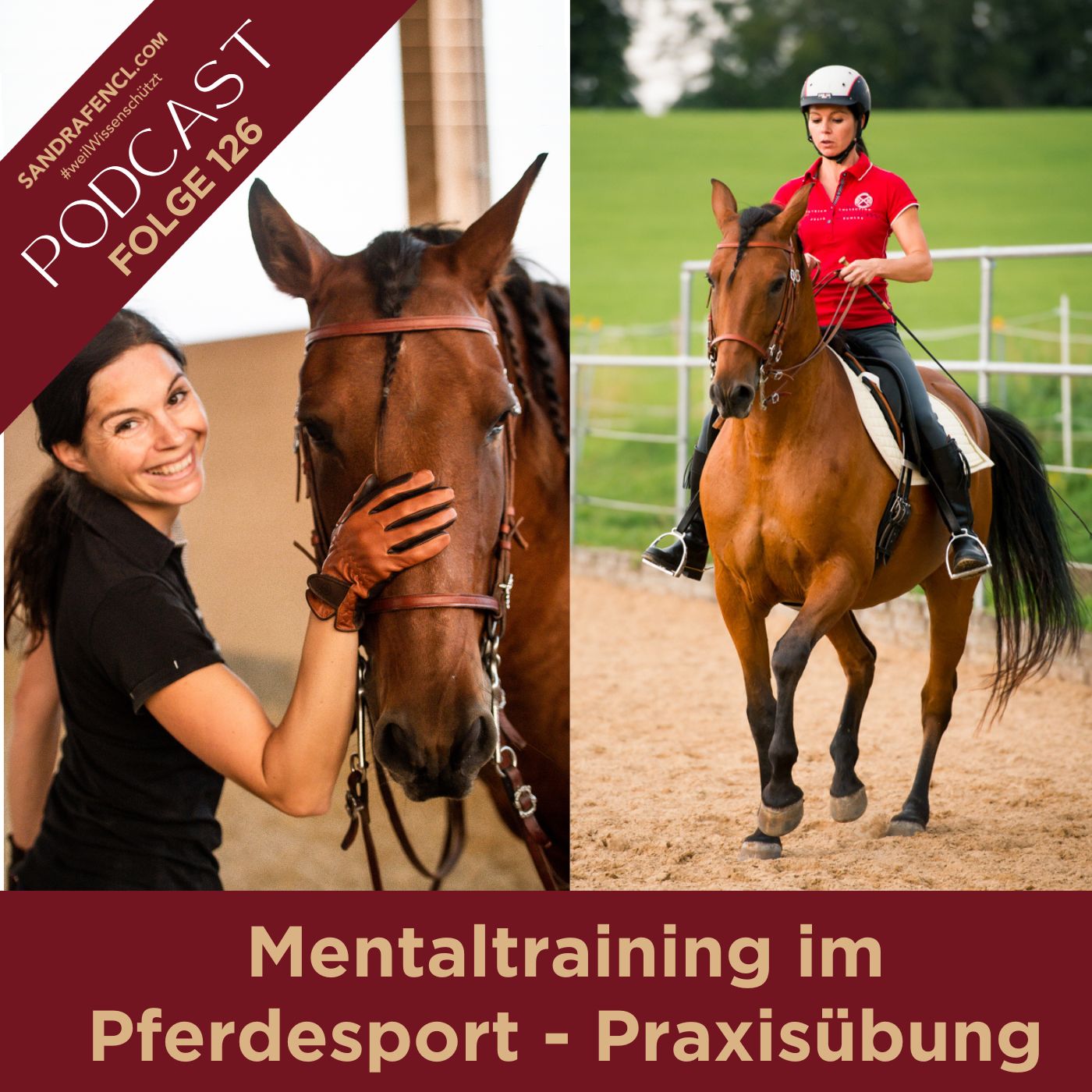 Pferdewissen - ganzheitlich & inspirierend mit Sandra Fencl