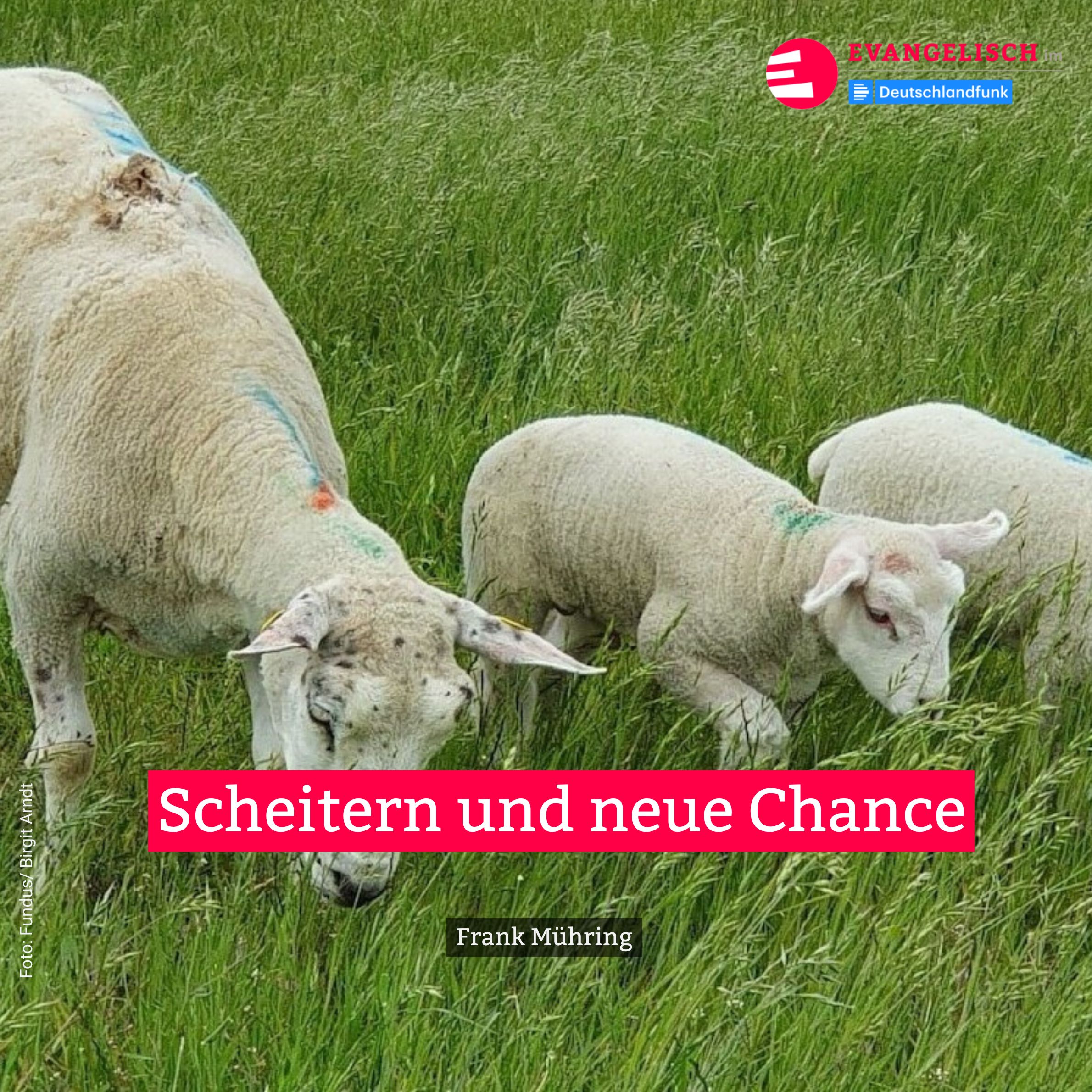 Scheitern und neue Chance episode artwork