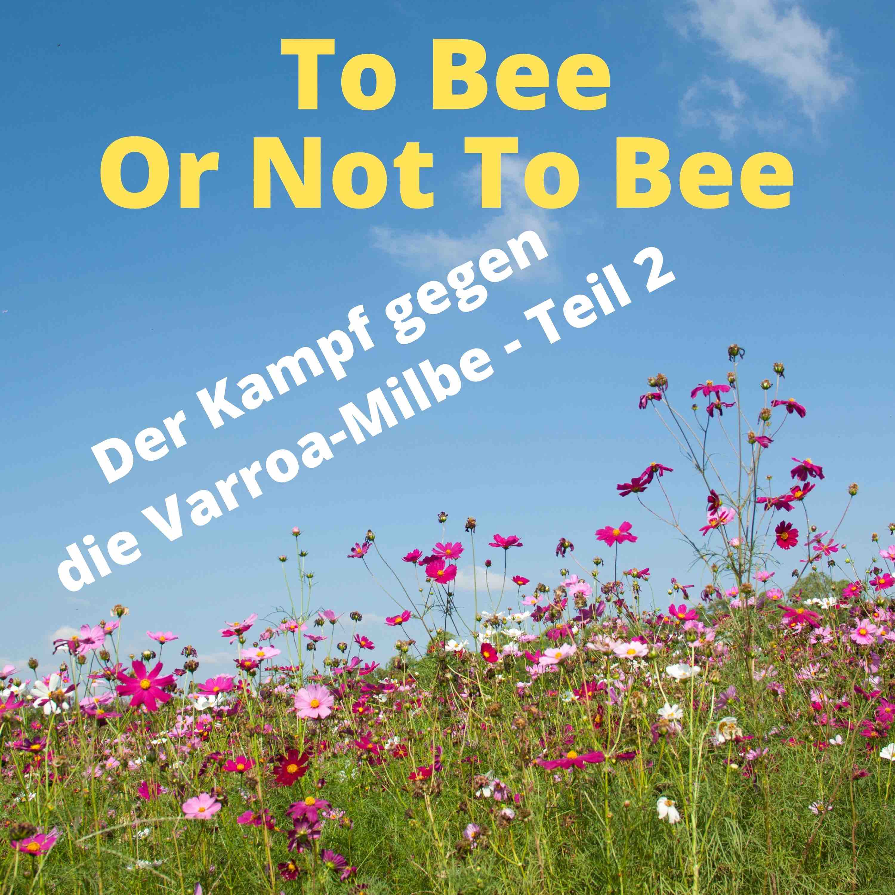 To Bee Or Not To Bee #14