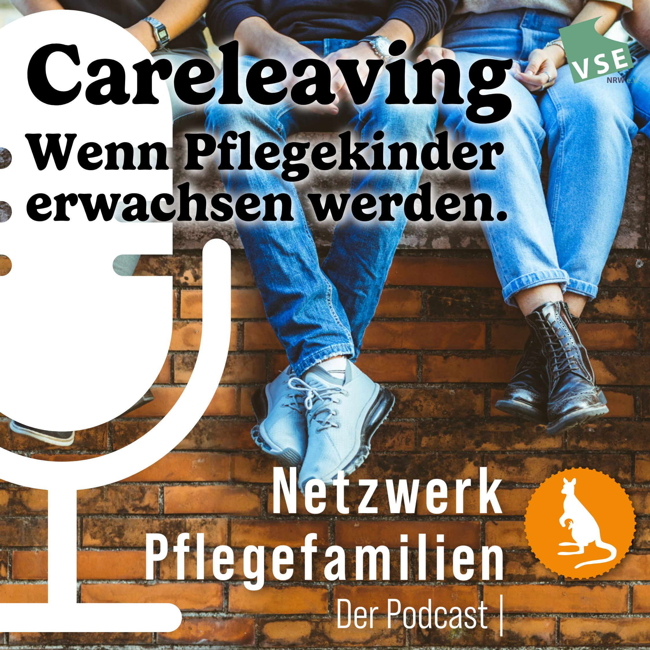Netzwerk Pflegefamilien - Der Podcast