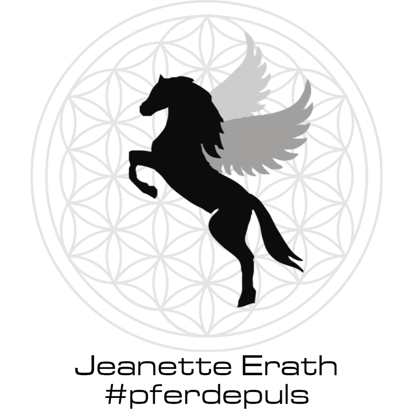 Jeanette Erath #pferdepuls