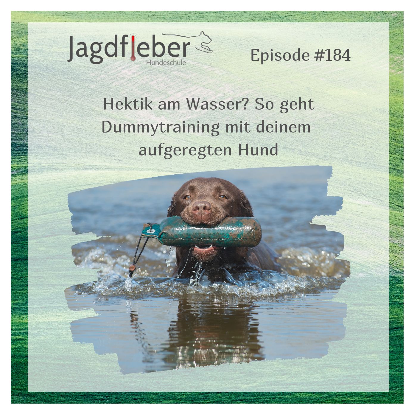 P184: Hektik am Wasser? So geht Dummytraining mit deinem aufgeregten Hund episode artwork