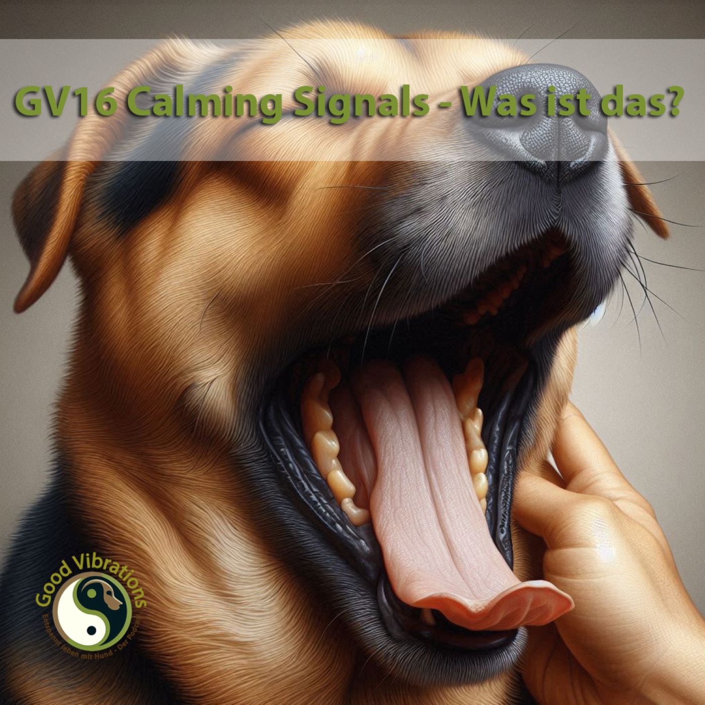 Good Vibrations. Entspannt leben mit Hunden. Der Podcast.