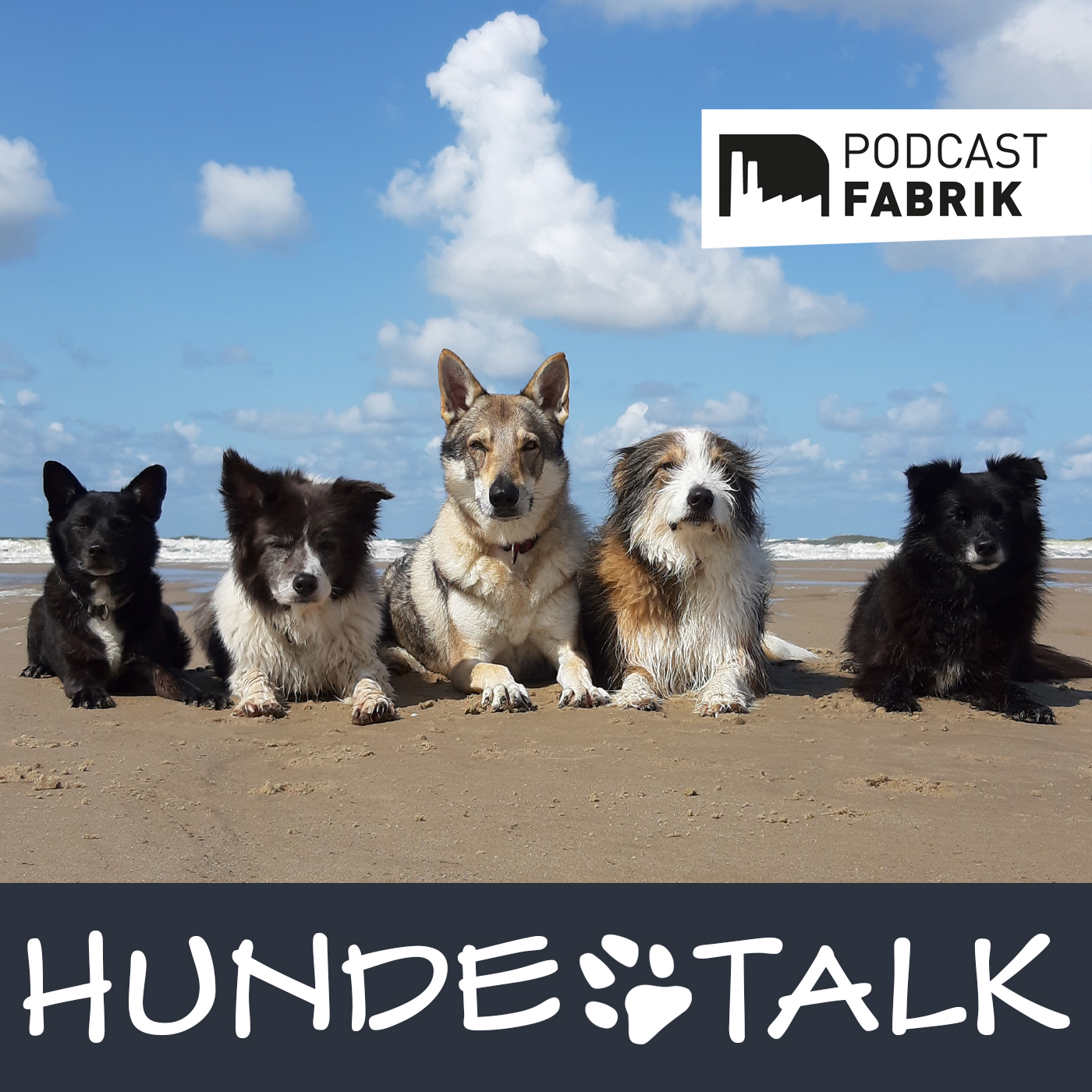 HUNDETALK - Dein Hunderunde-Podcast