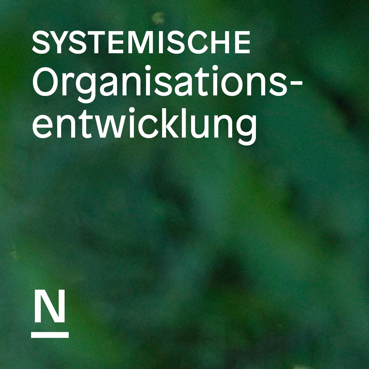 Systemische Organisationsentwicklung – Der Podcast der Beratergruppe Neuwaldegg