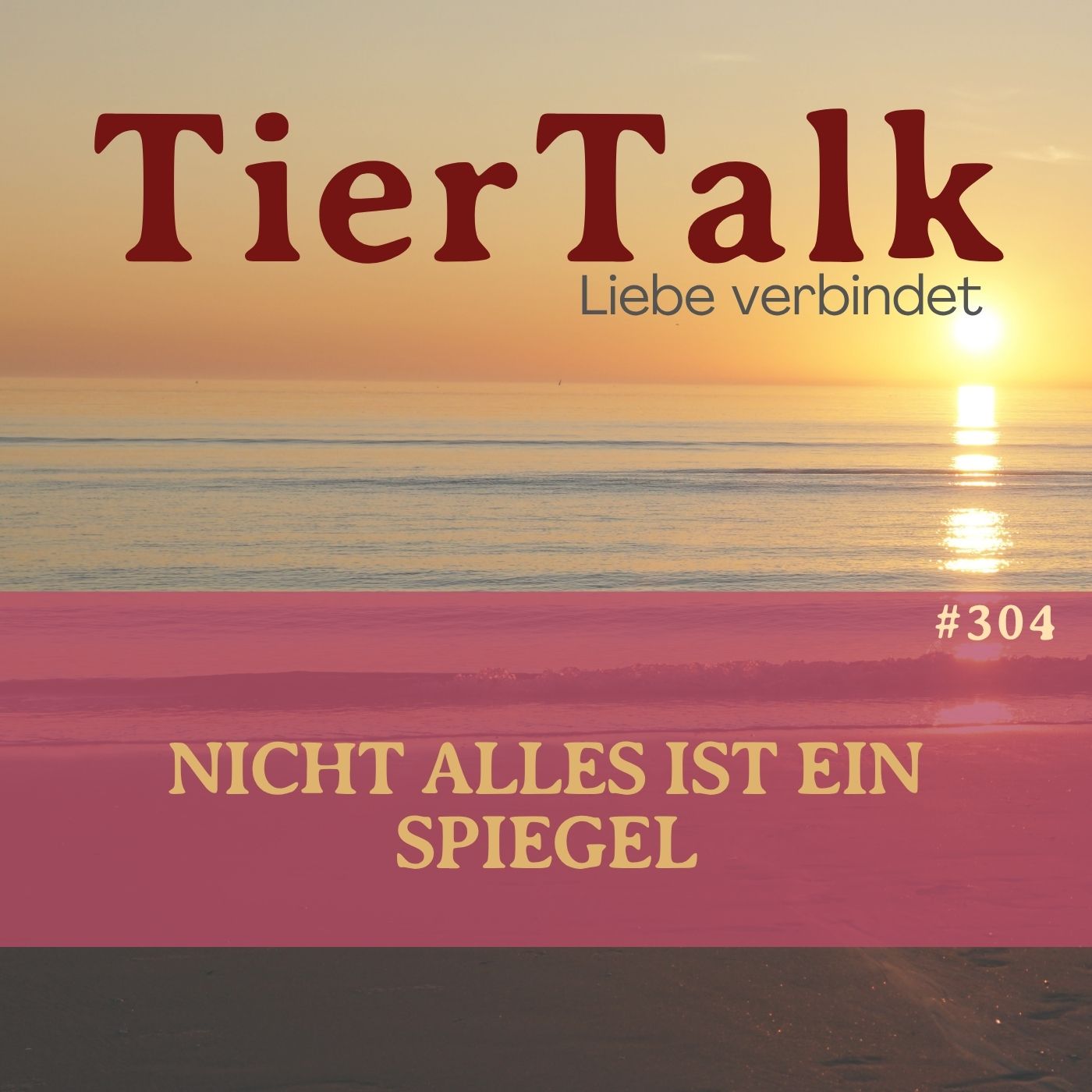 304. Nicht alles ist ein Spiegel episode artwork