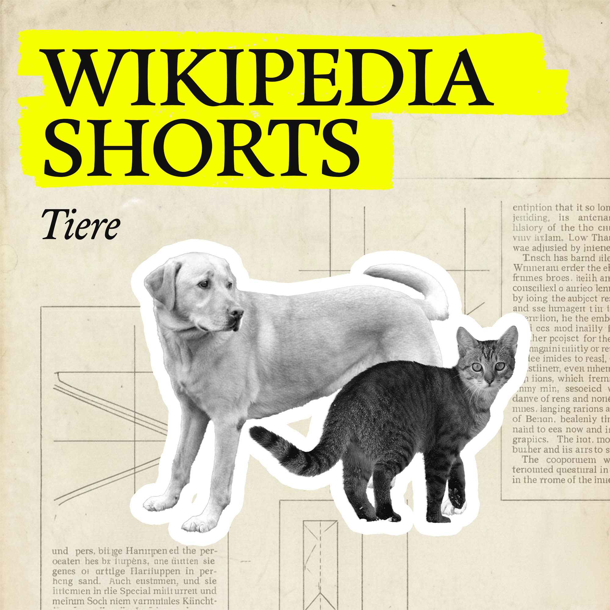 Wikipedia Shorts: Tiere