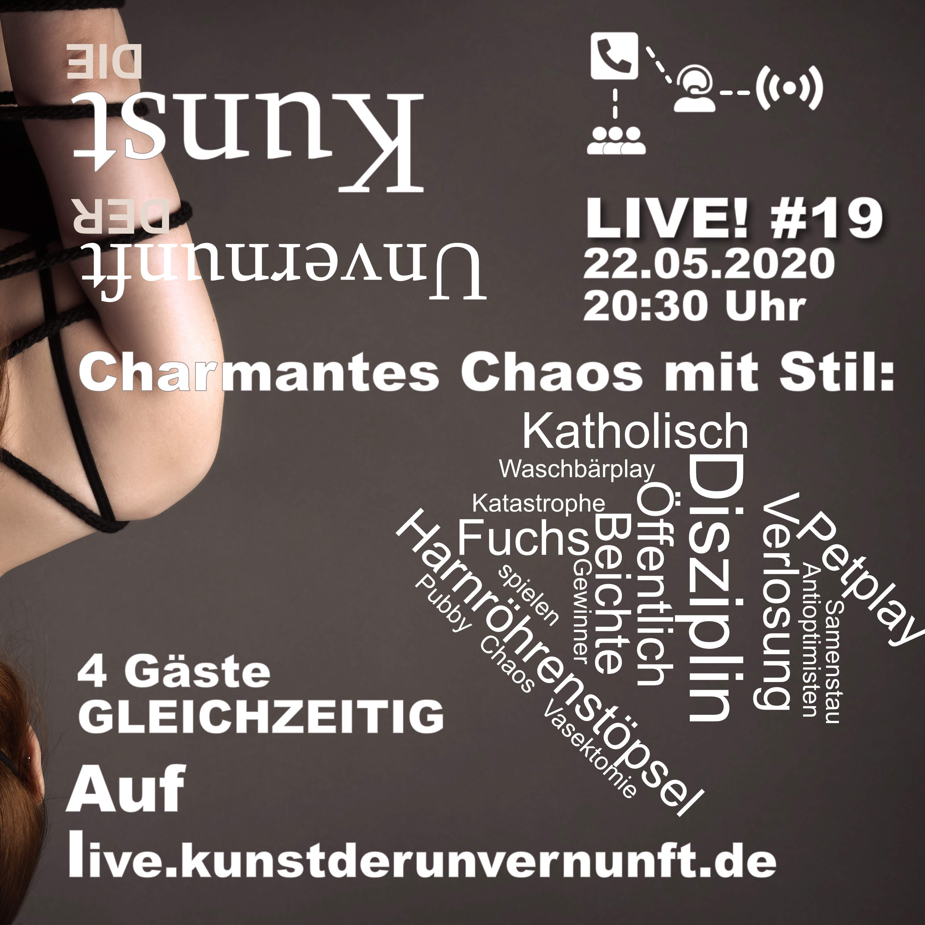 BDSM - Die Kunst der Unvernunft