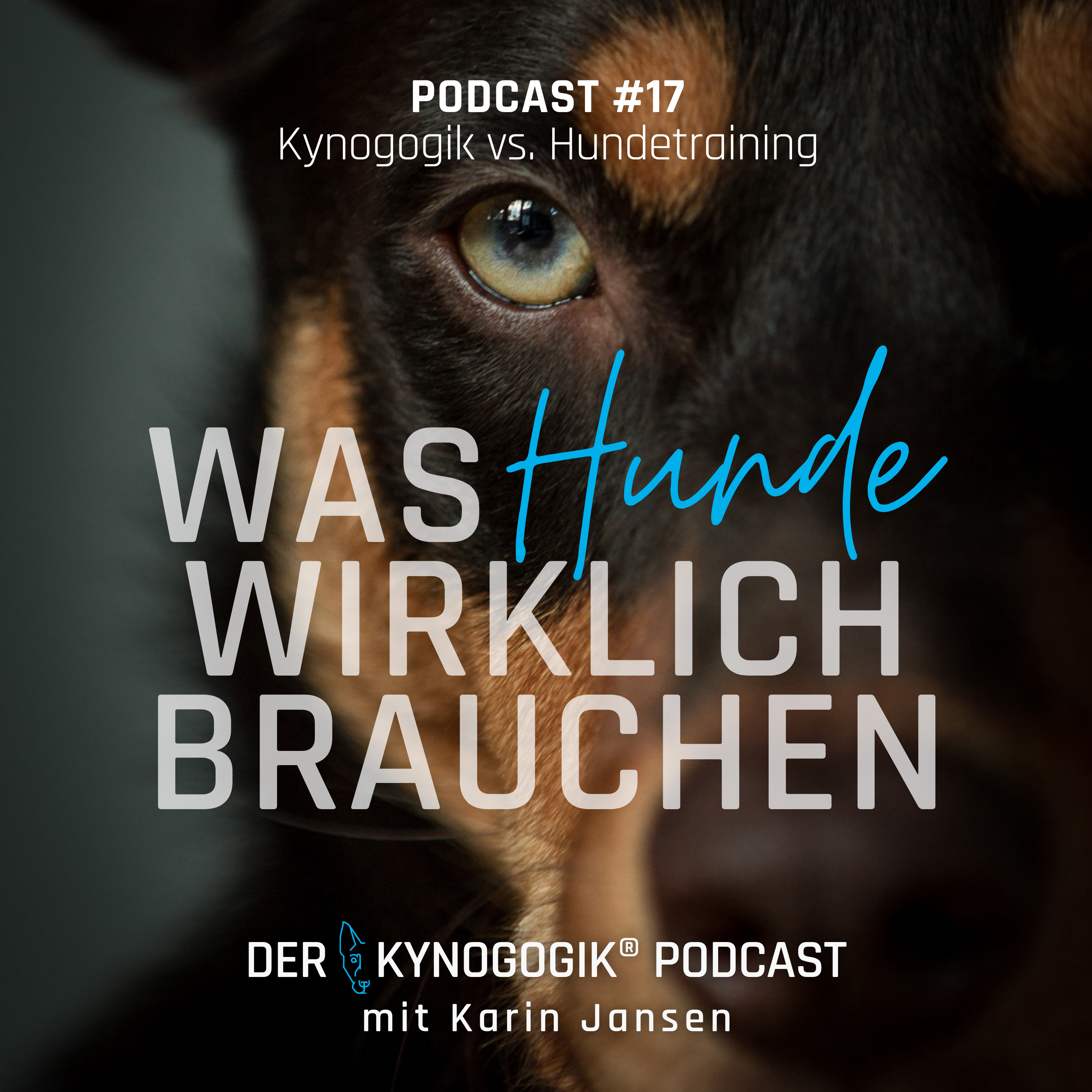 Kynogogik® vs. Hundetraining episode artwork