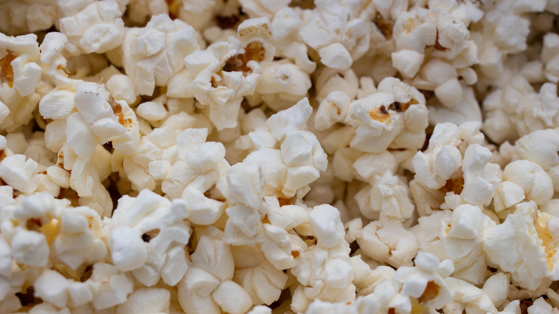 Die Flimmerkiste - alles über Kino, Serien & TV