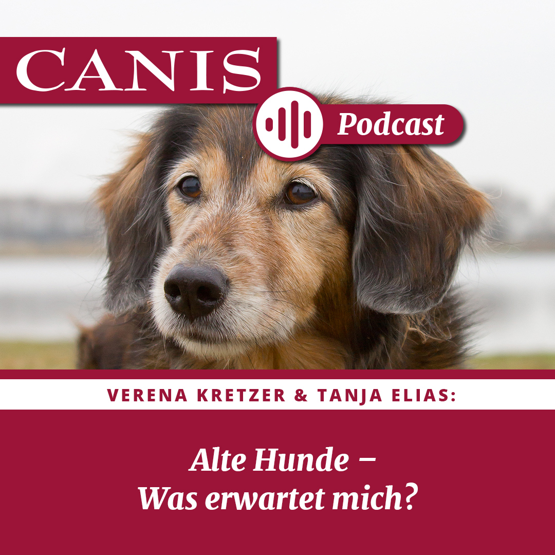 Der CANIS-Podcast – Hundeexpert:innen ausgefragt