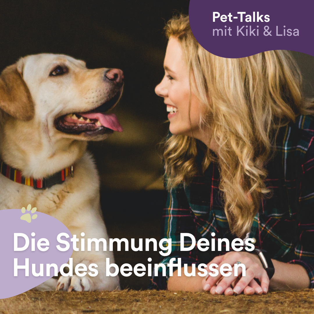 Pet-Talks mit Kiki & Lisa - der Hunde-Podcast von DeineTierwelt