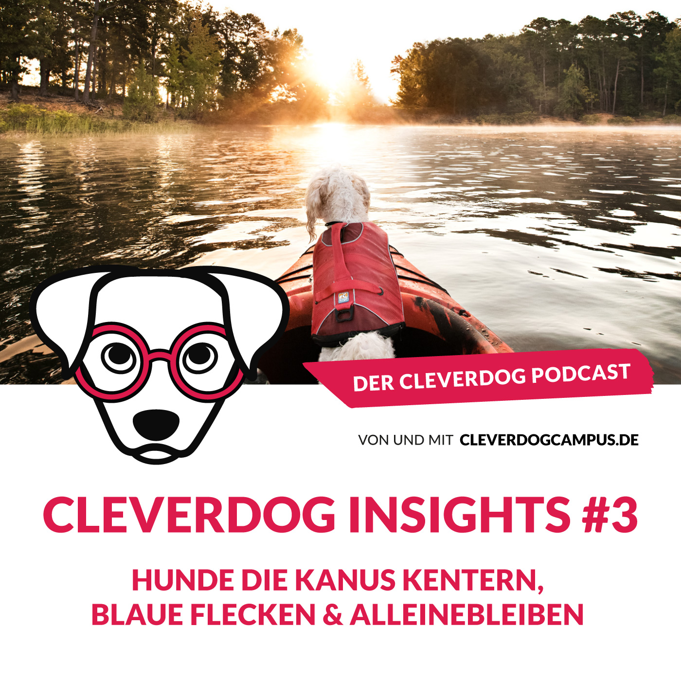 Der Cleverdog Podcast – mehr Wissen rund um den Hund!