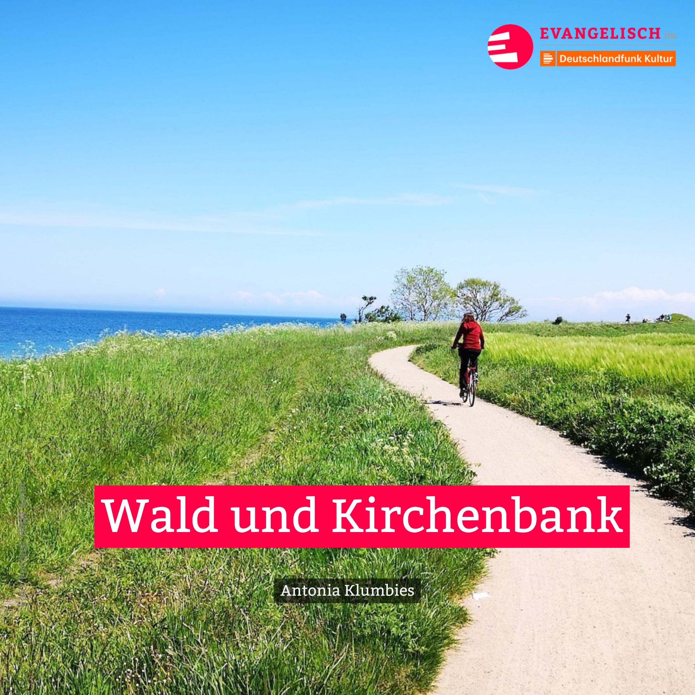 Wald und Kirchenbank episode artwork