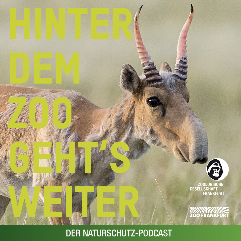Hinter dem Zoo geht\'s weiter - Der Naturschutzpodcast aus Frankfurt