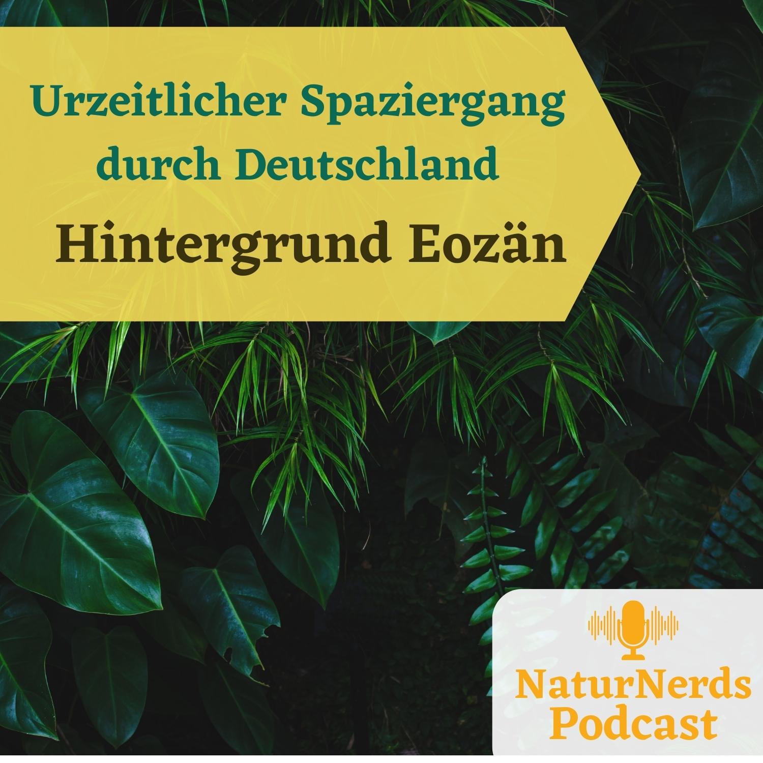 Urzeitlicher Spaziergang durch Deutschland - Hintergrundfolge Eozän