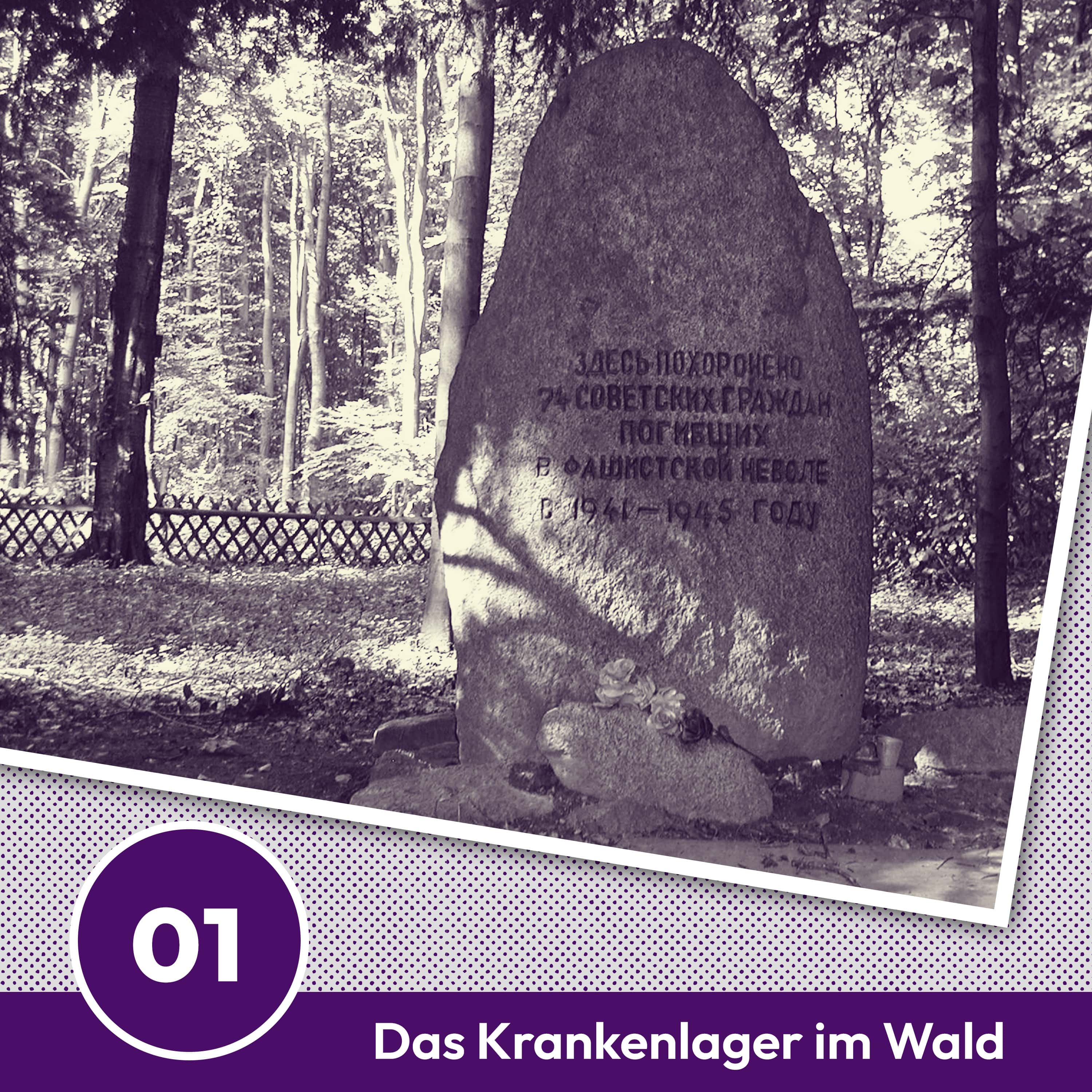 #1 Zwischen Bäumen und Stacheldraht episode artwork