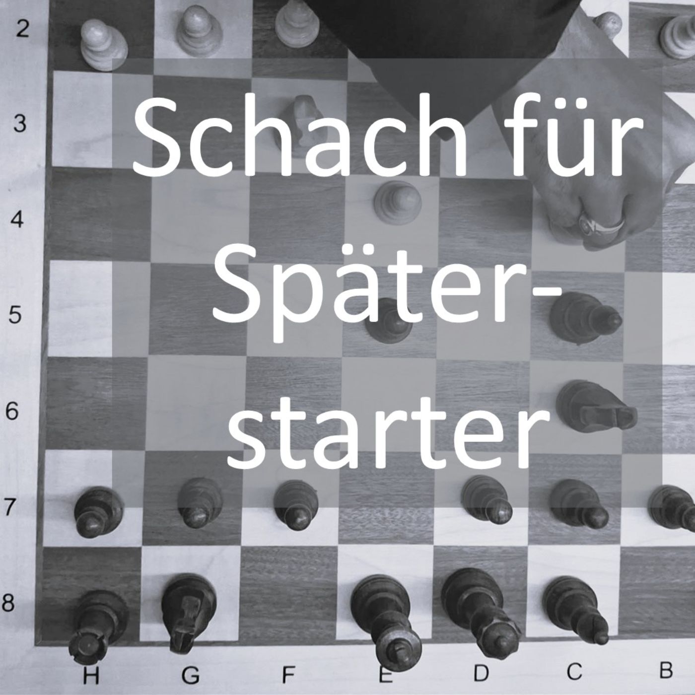 Schach für Späterstarter - Schach entdecken, wenn das Leben schon läuft