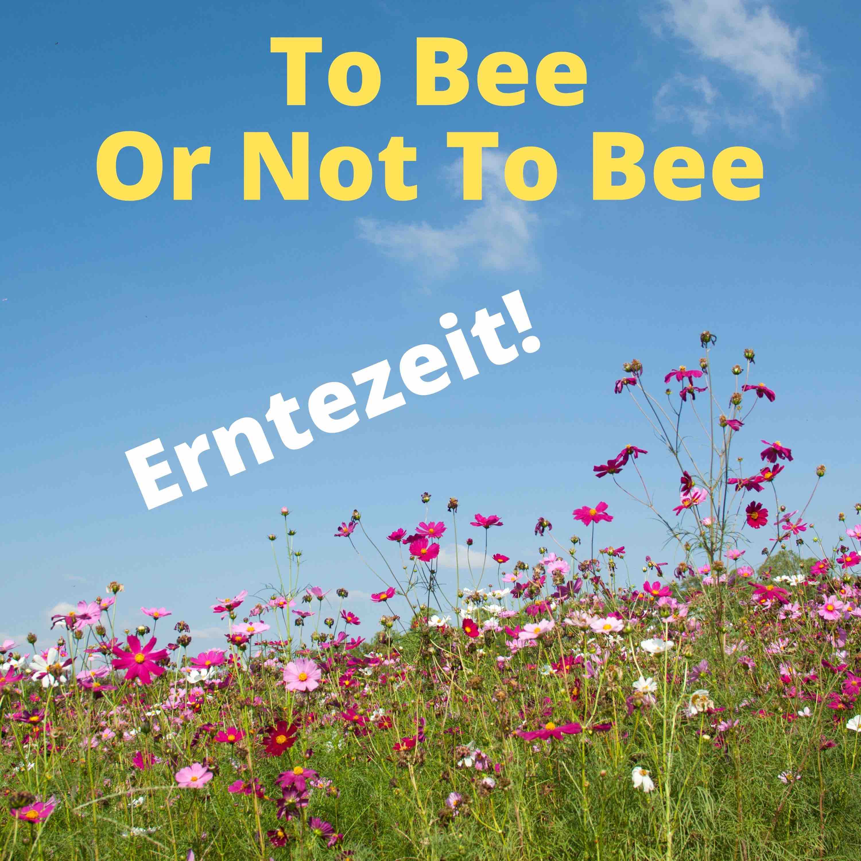 To Bee Or Not To Bee #12
