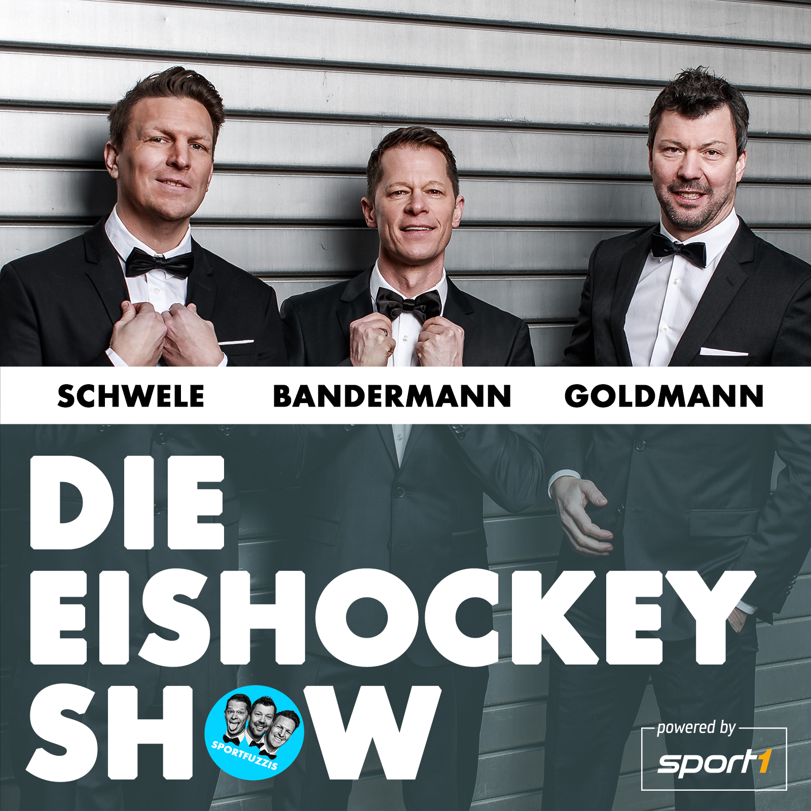 Die Eishockey Show