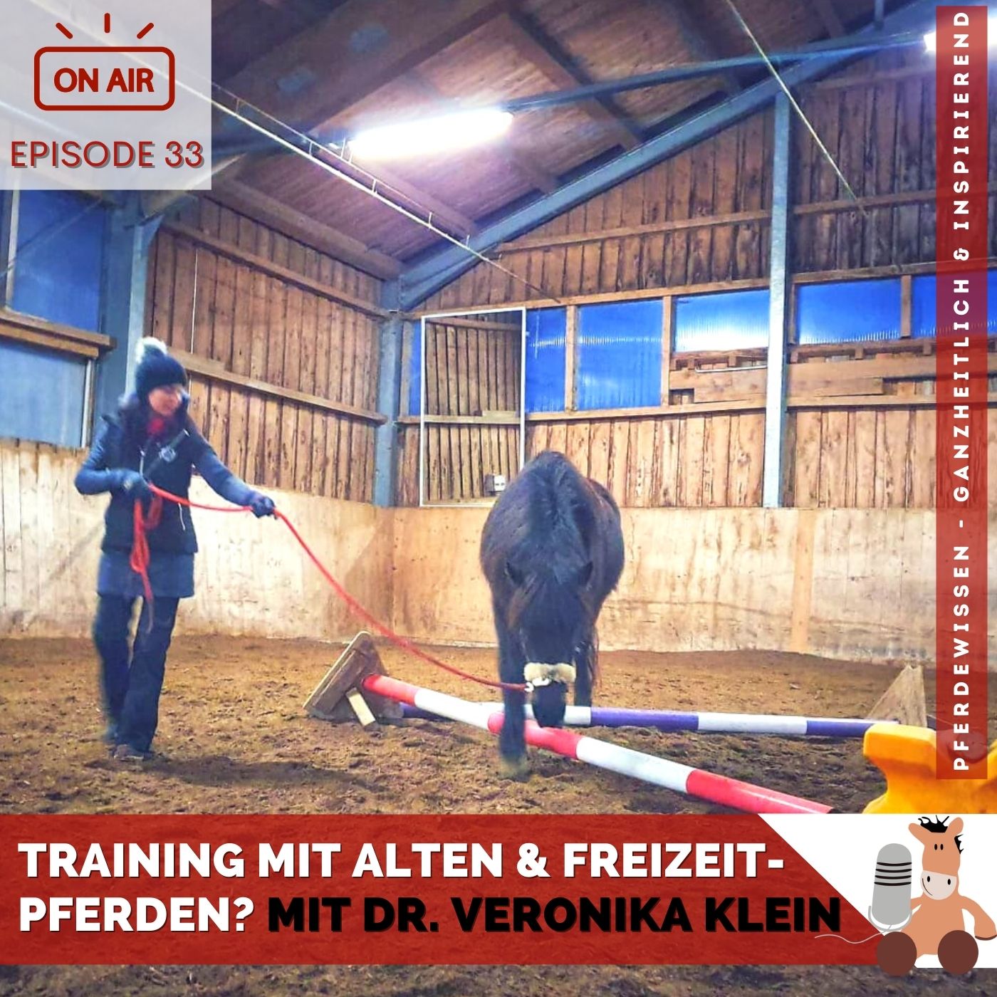 Pferdewissen - ganzheitlich & inspirierend mit Sandra Fencl