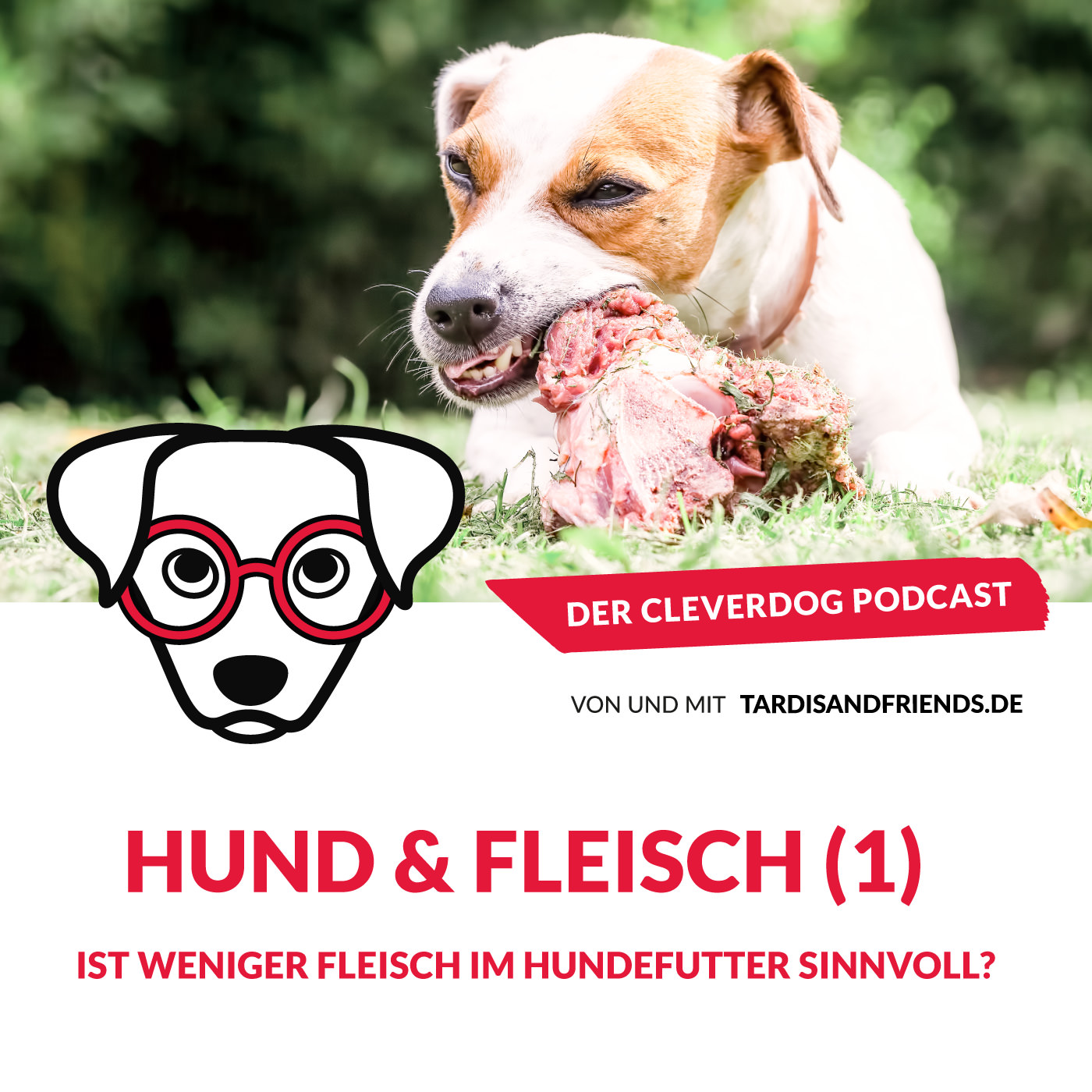 Der Cleverdog Podcast – mehr Wissen rund um den Hund!