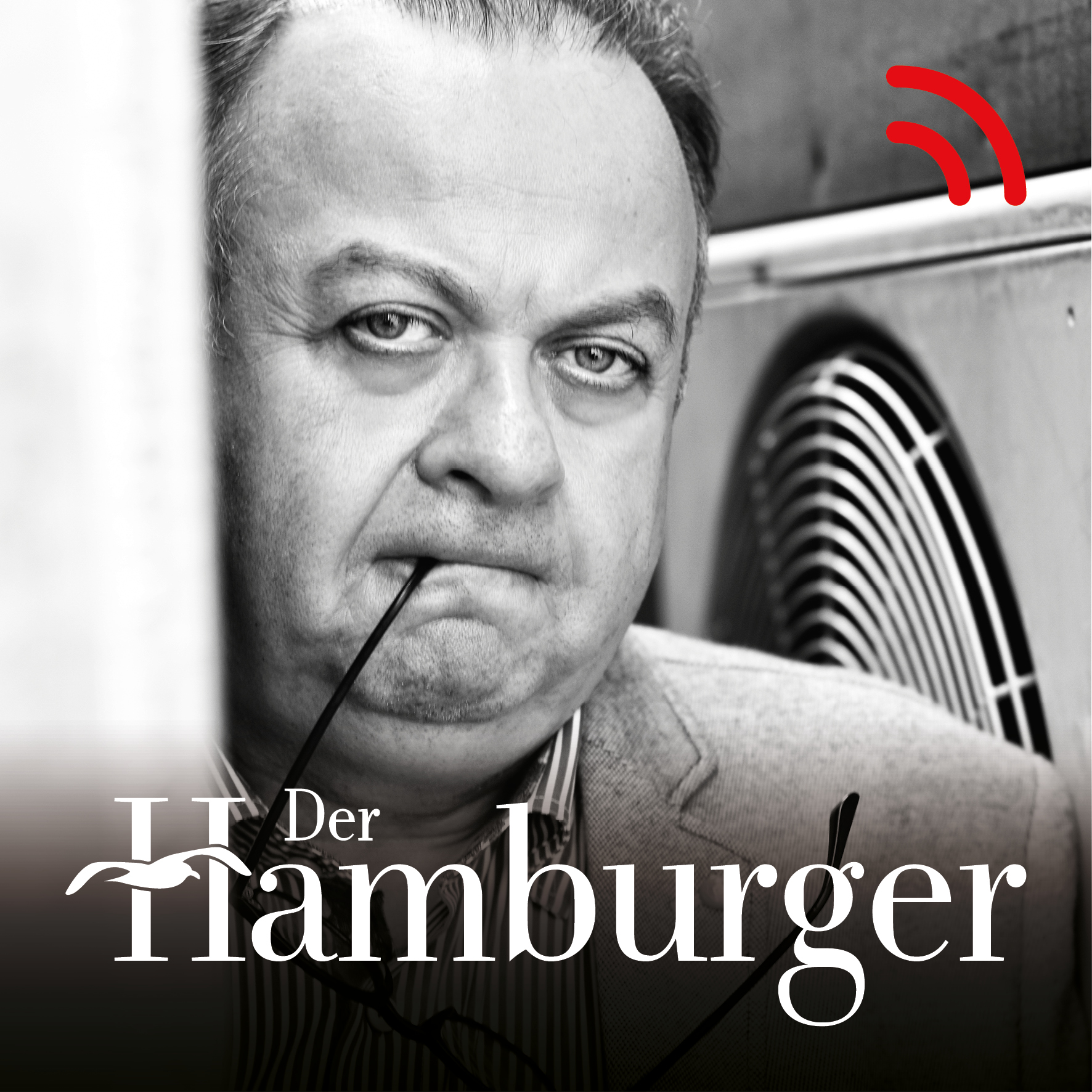 DER HAMBURGER Inside. Stimmen dieser Stadt