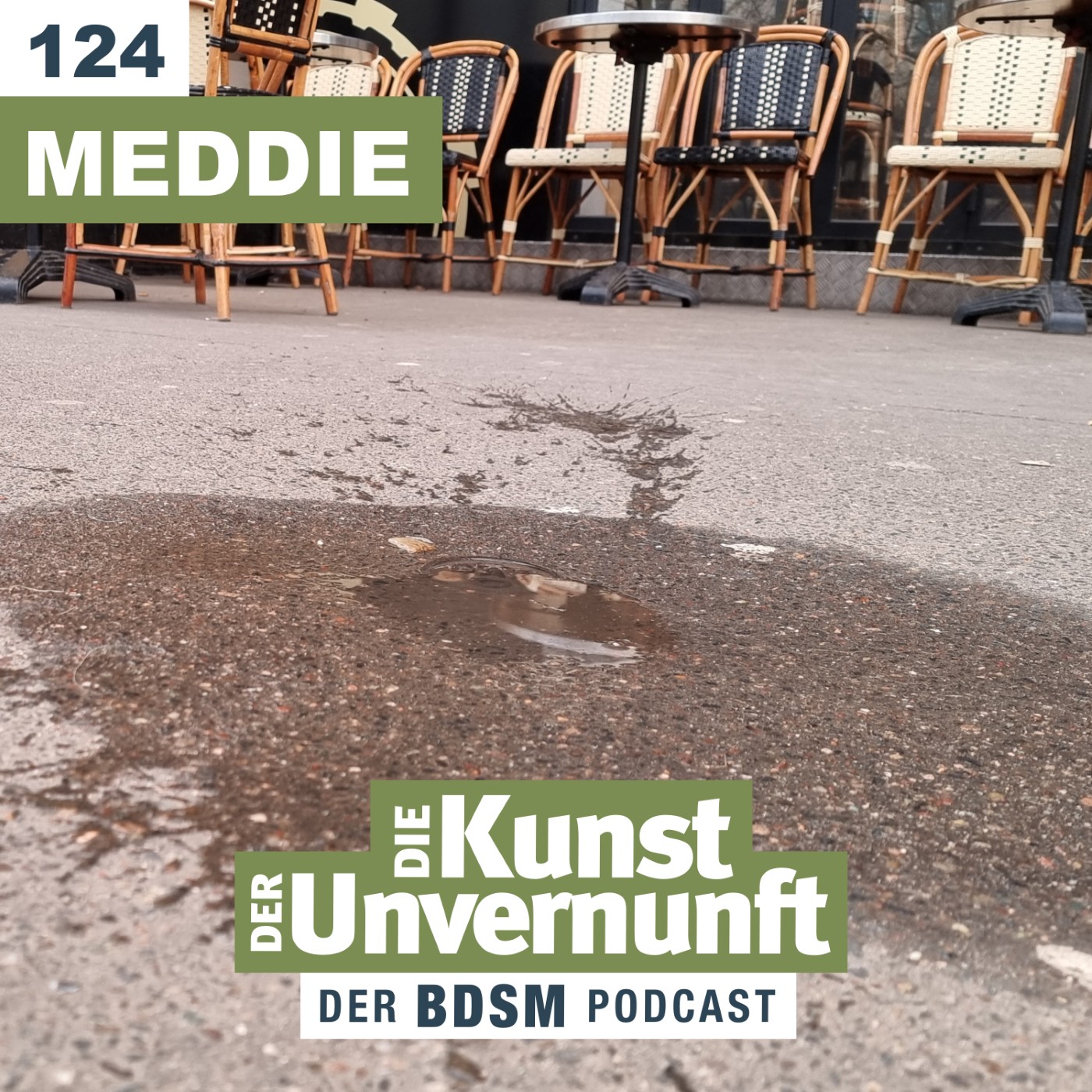 BDSM - Die Kunst der Unvernunft