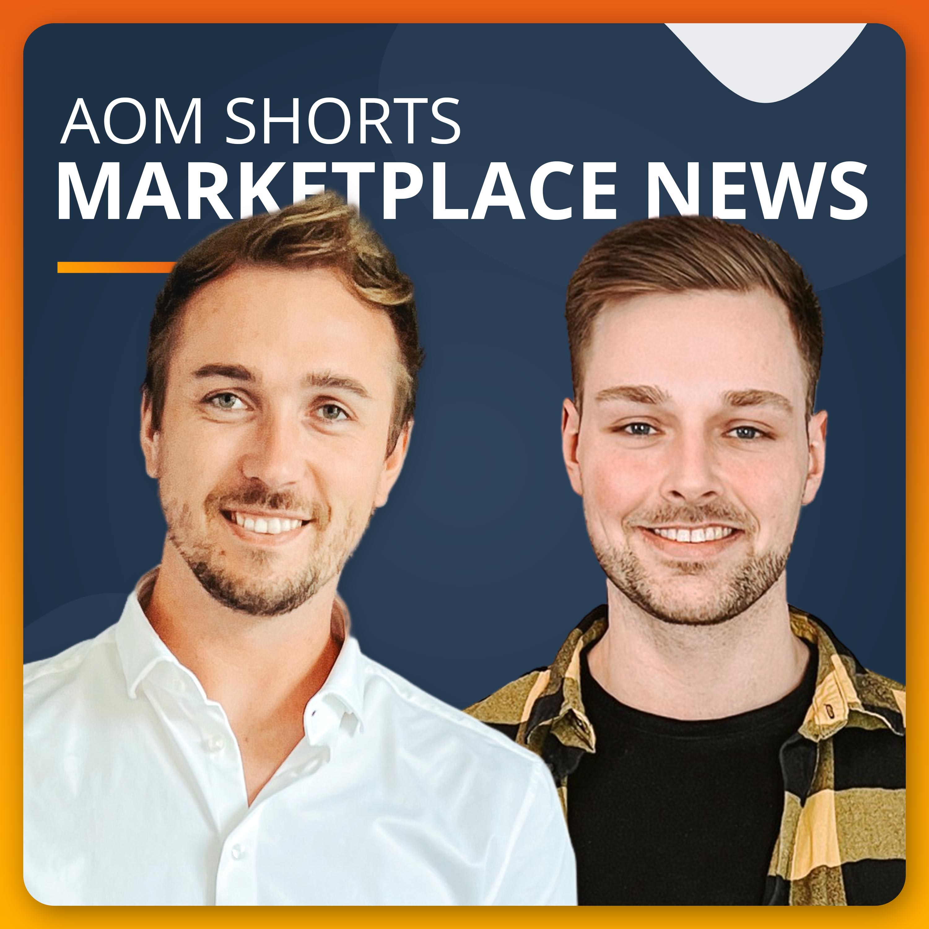 AOM SHORTS - Q3 Ergebnisse Amazon, eBay und Etsy + B2B Auswertungen auf Amazon episode artwork