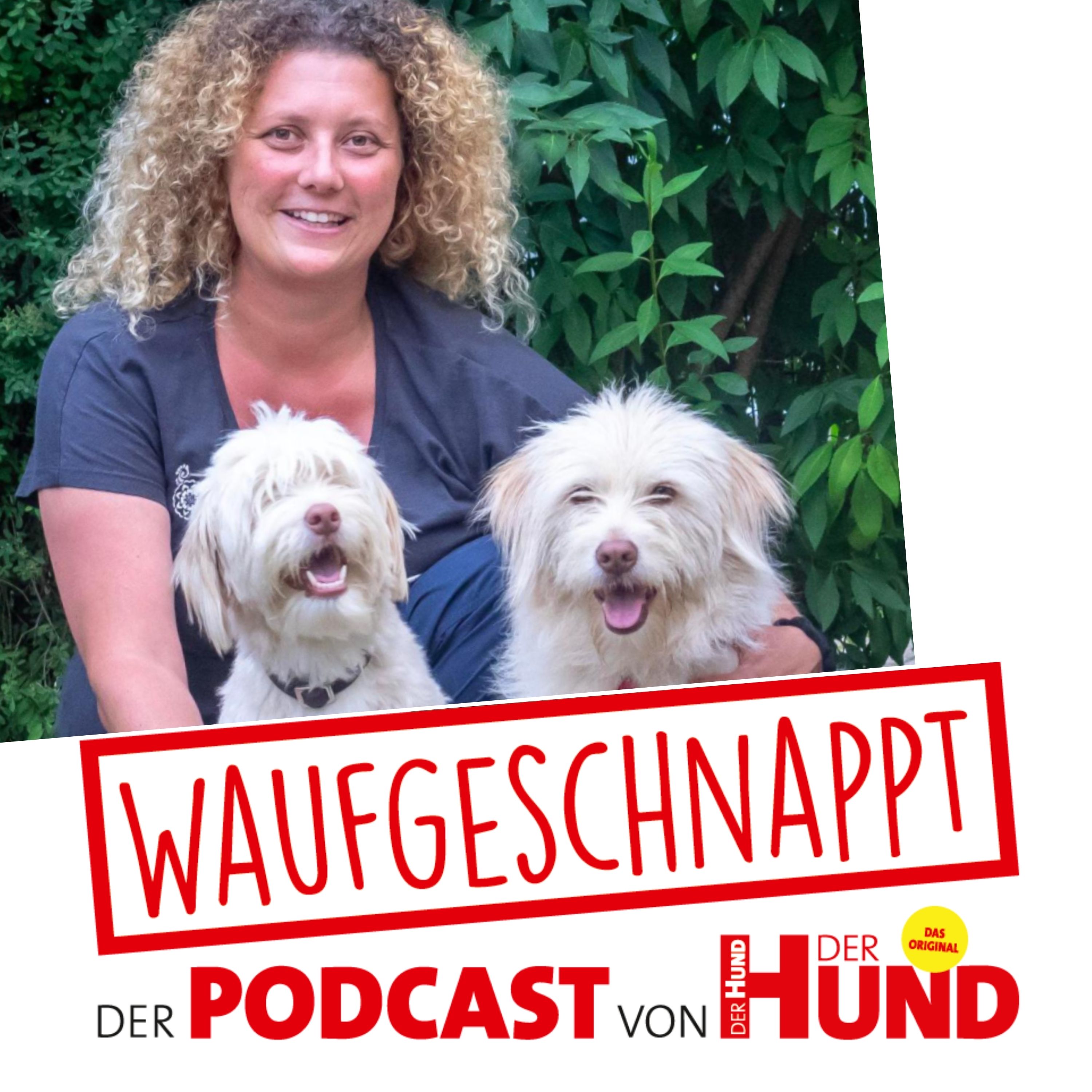 Waufgeschnappt - der Podcast von DER HUND