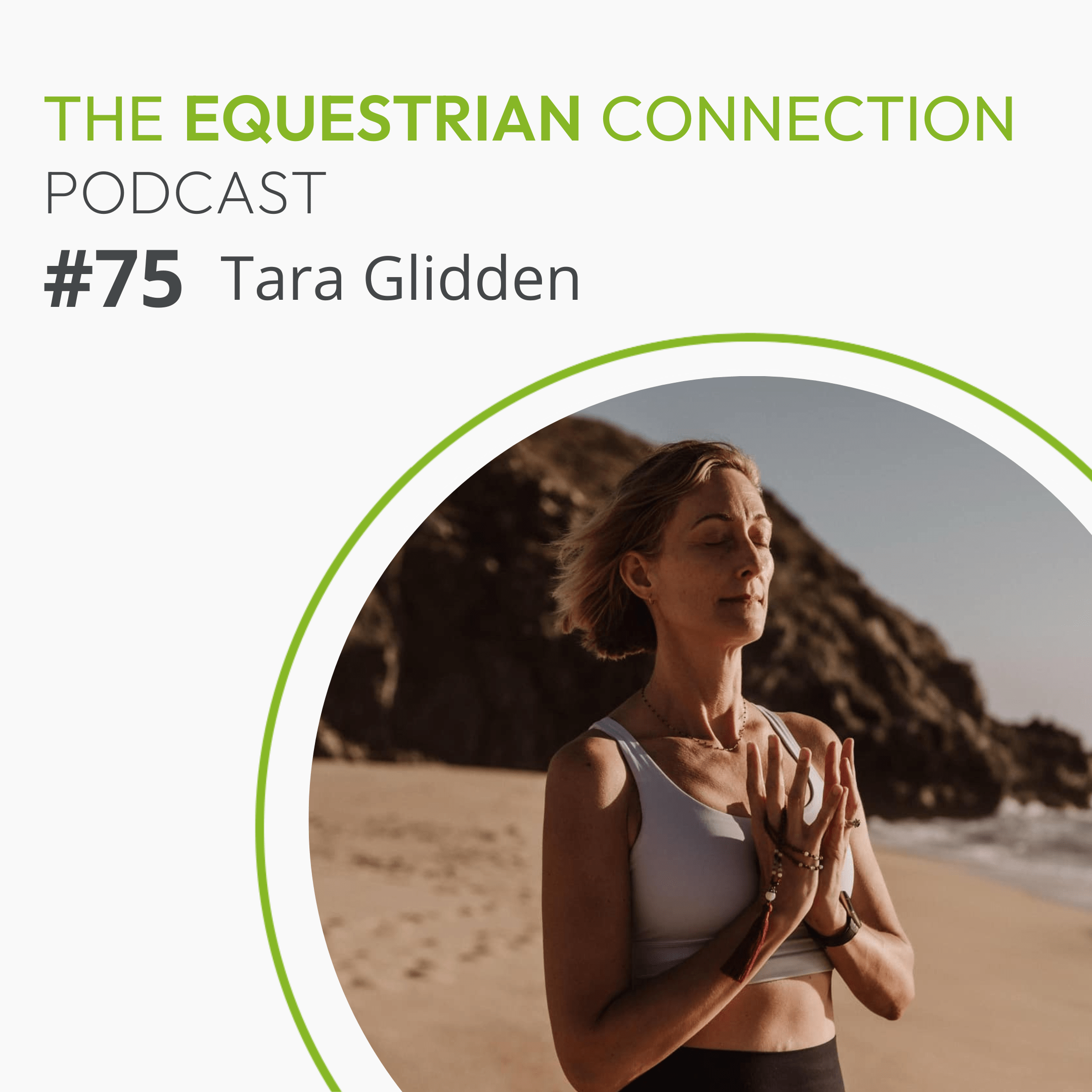 #75 The Importance of Wellness for Veterinary Professionals with Tara Glidden episode artwork