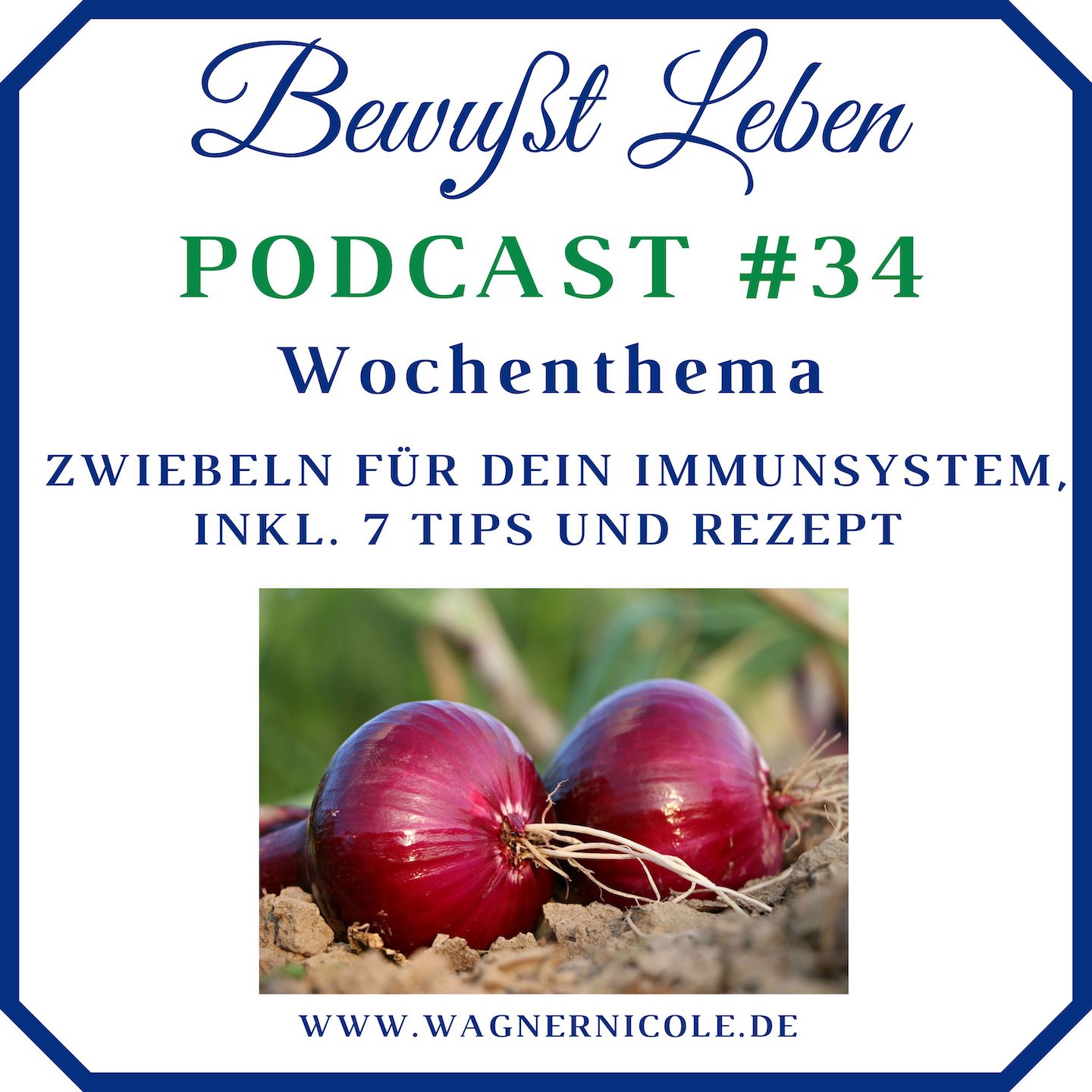 Zwischen den Welten I Energiearbeit, Jenseitskontakte & Meditation