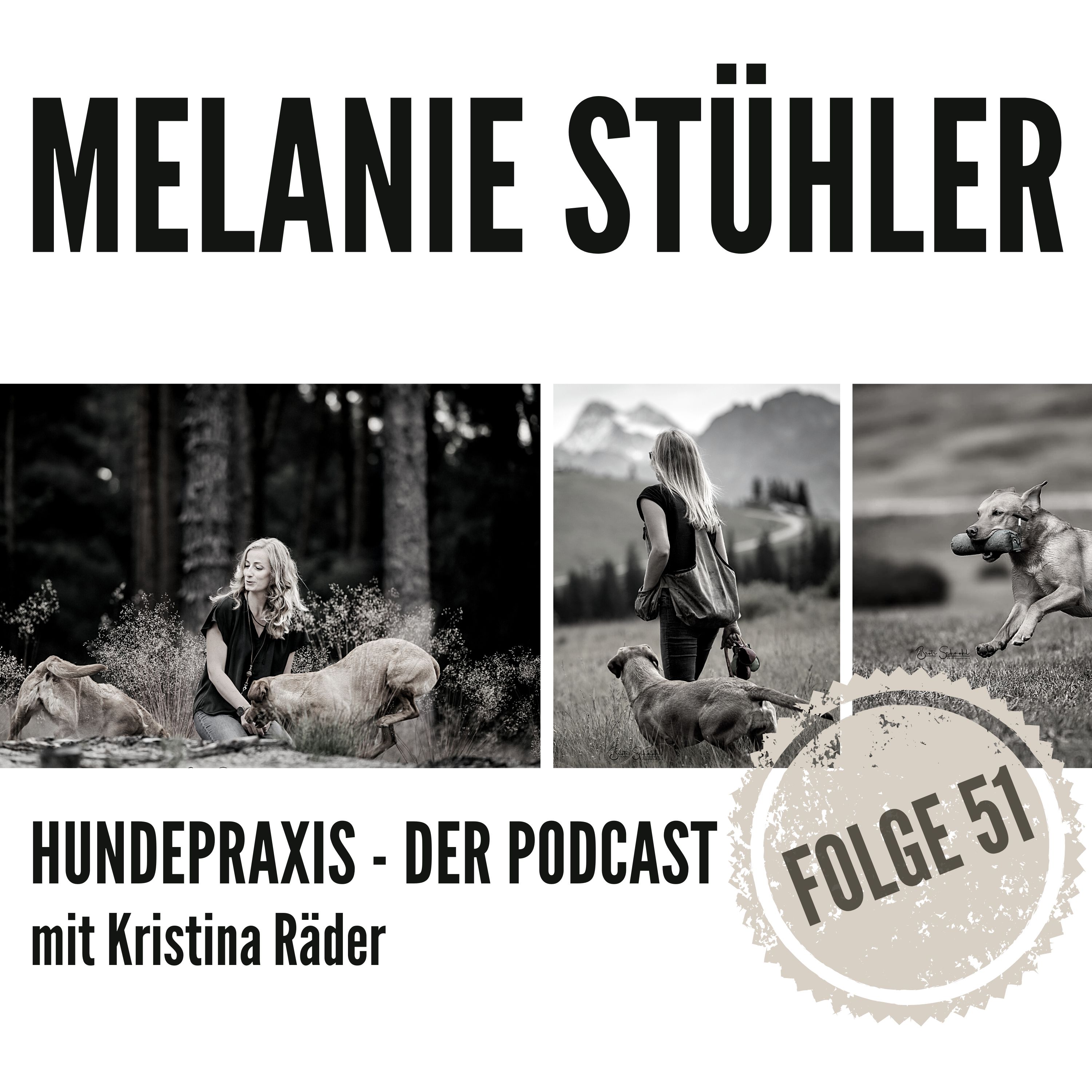 Hundepraxis - der Podcast