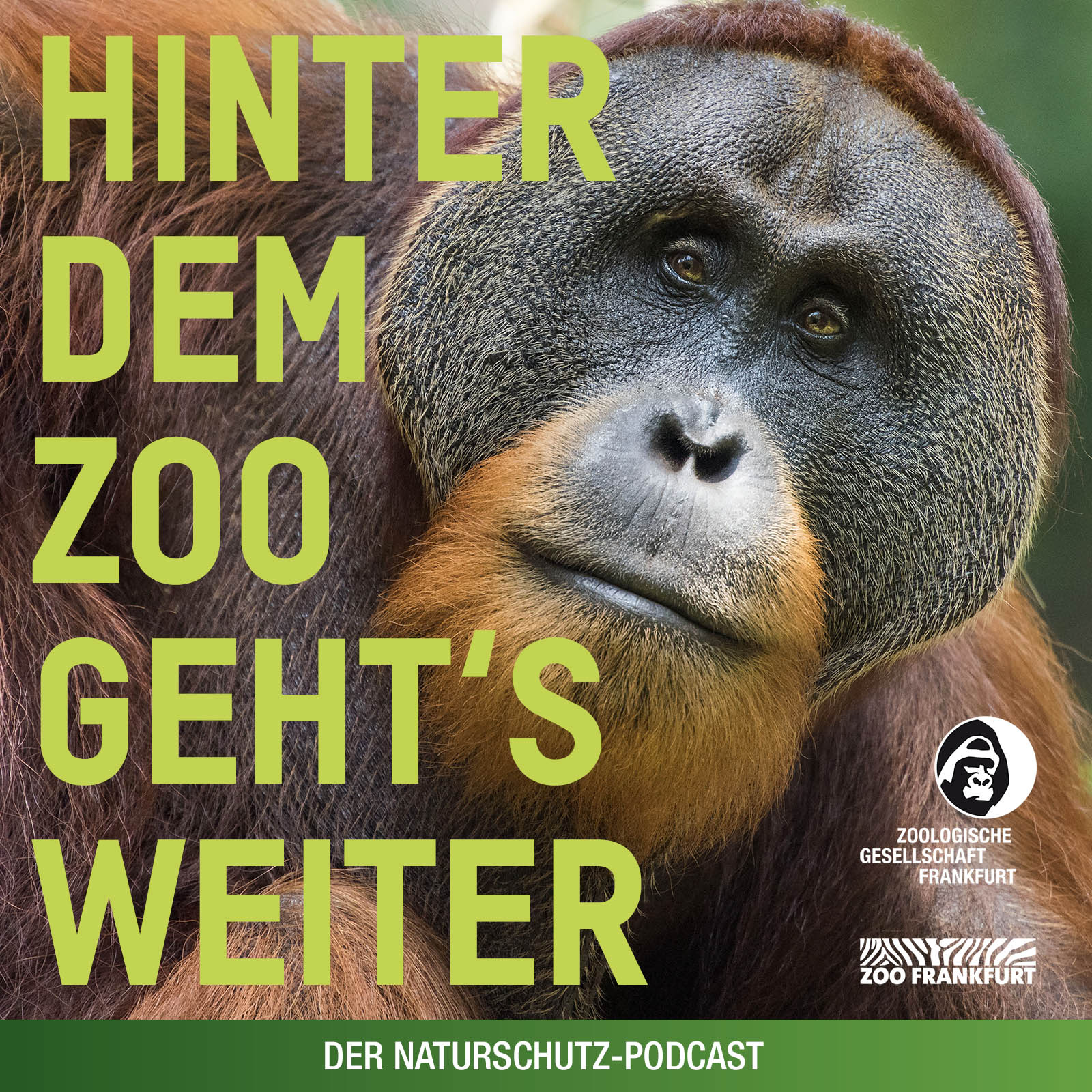Hinter dem Zoo geht\'s weiter - Der Naturschutzpodcast aus Frankfurt