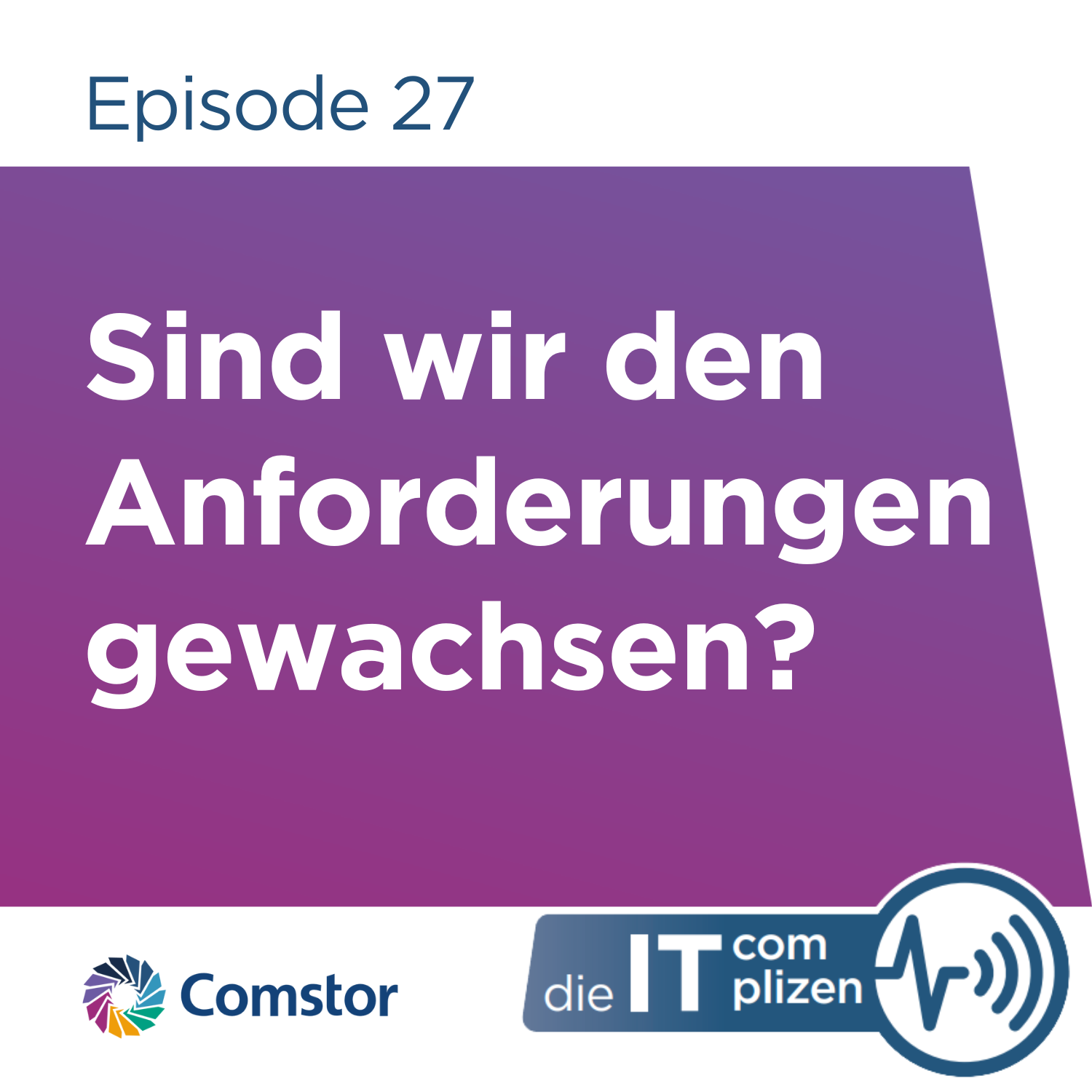 Comstor - Die IT Complizen