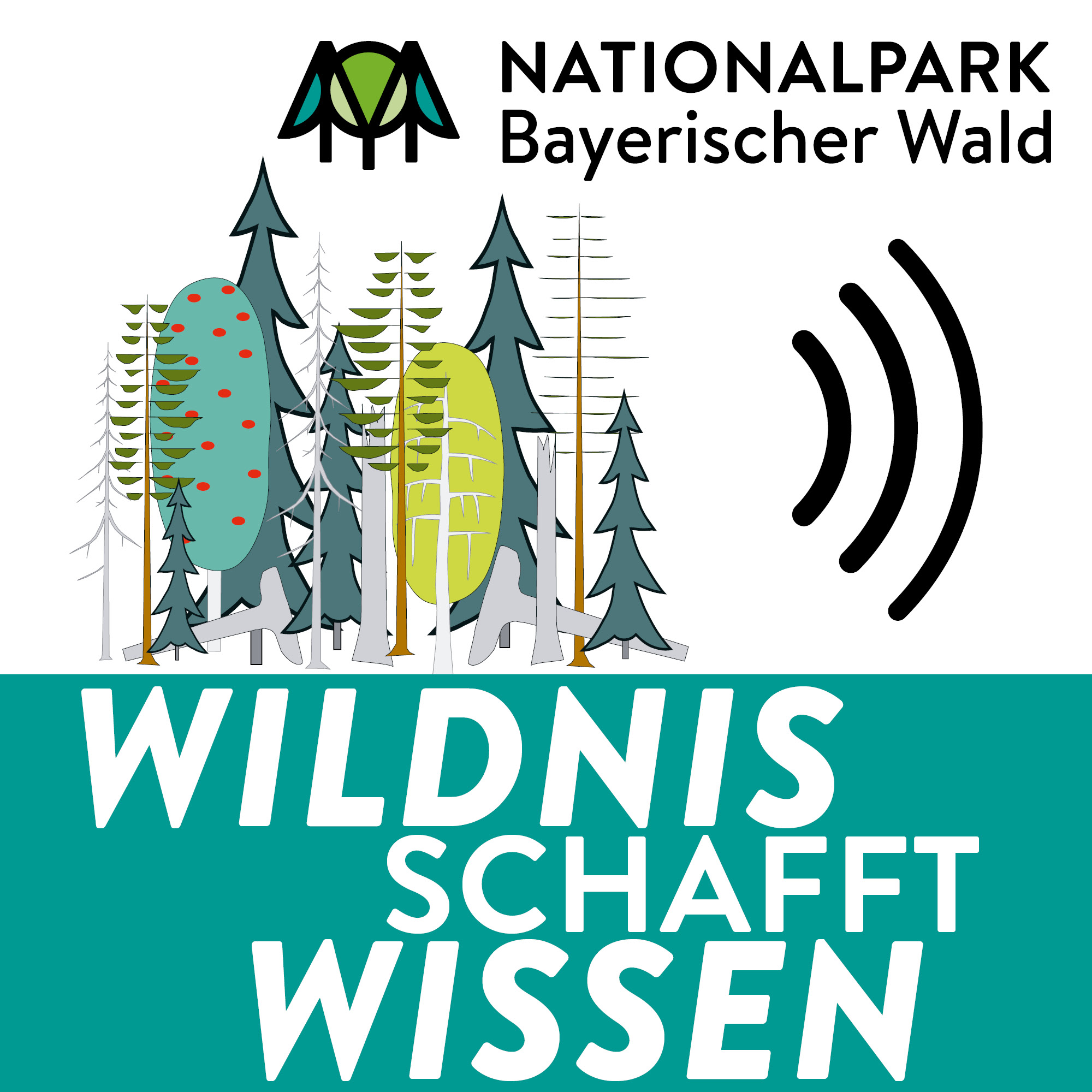 Wildnis schafft Wissen - Forschung im Nationalpark Bayerischer Wald
