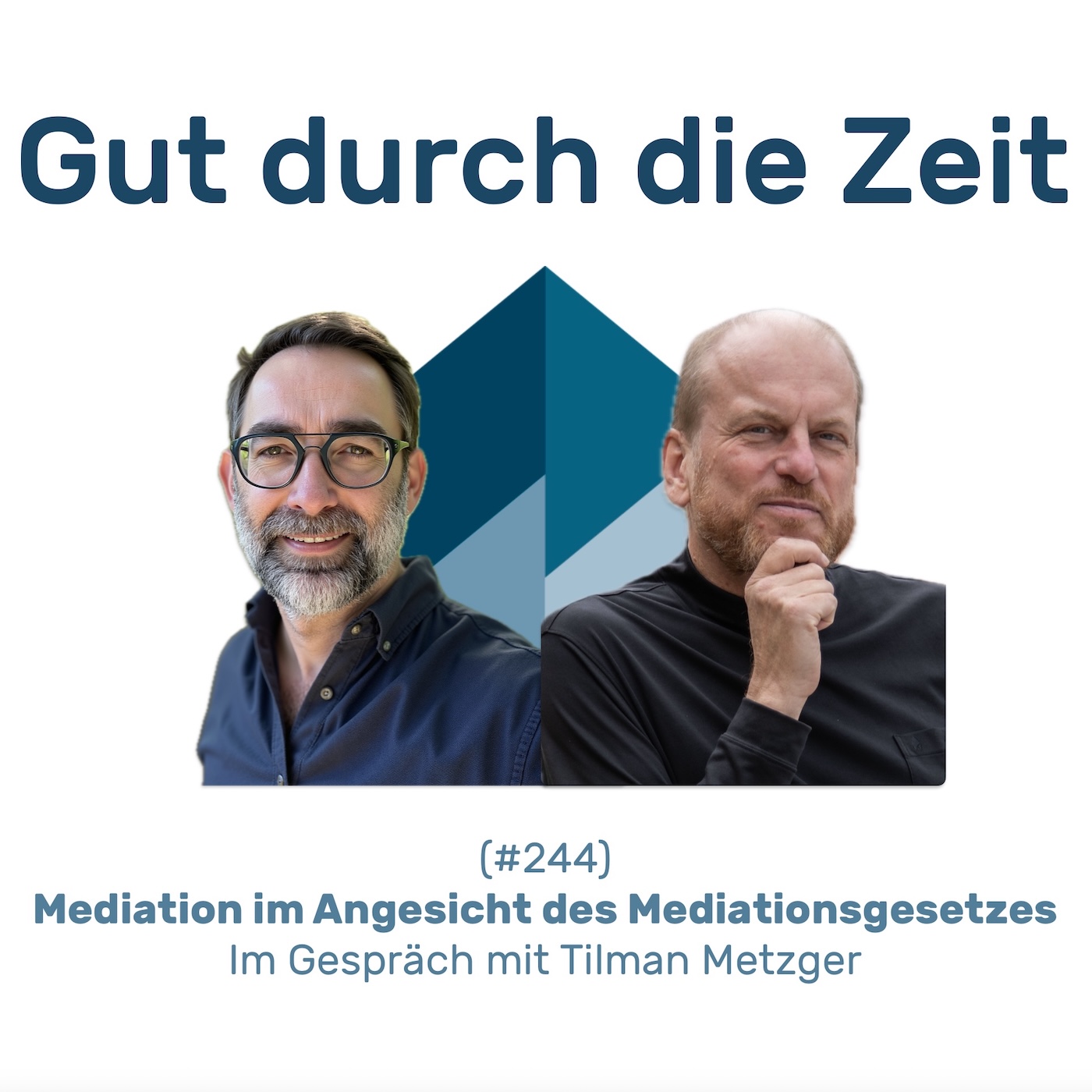 #244 GddZ - Mediation im Angesicht des Mediationsgesetzes. Im Gespräch mit Tilman Metzger