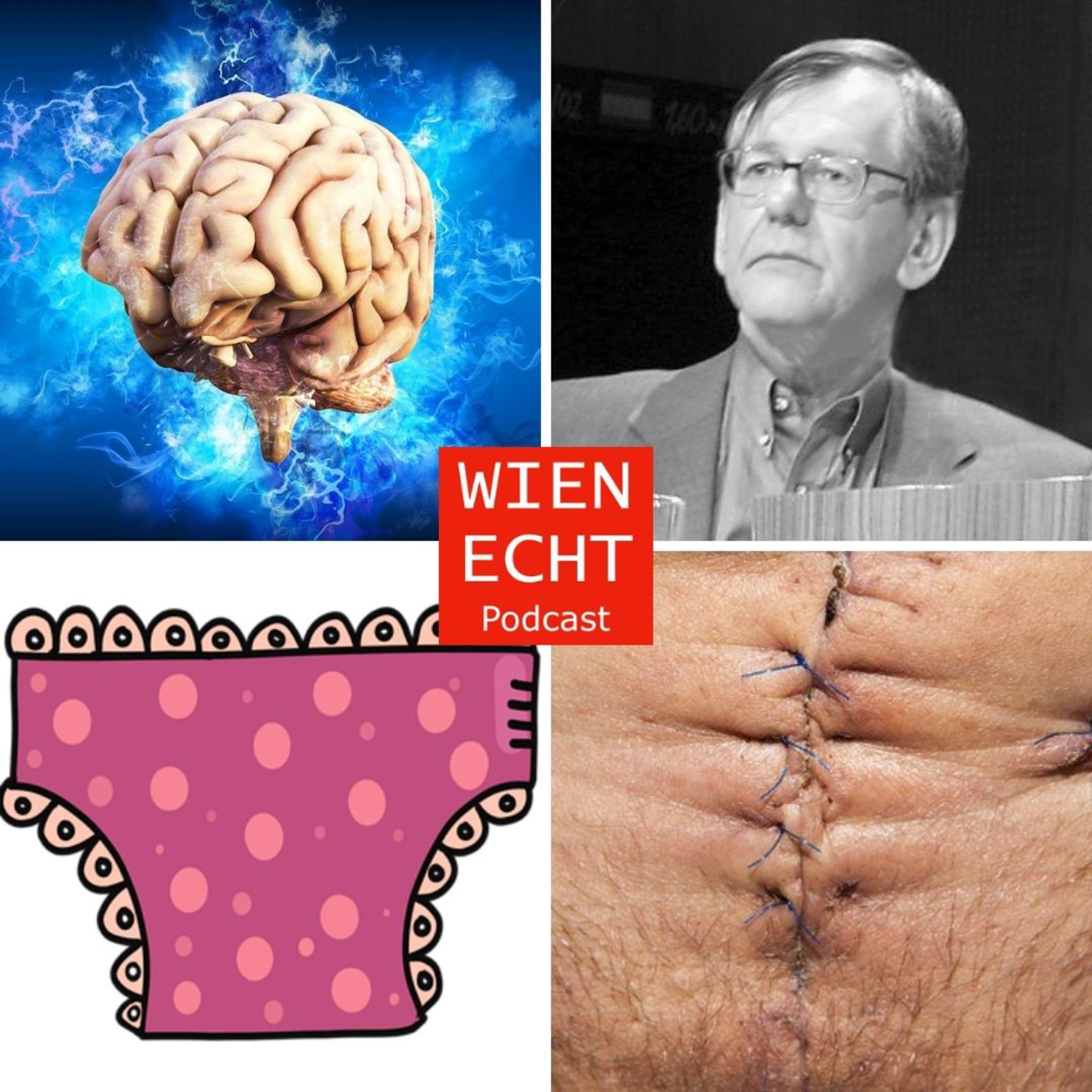 Wien echt